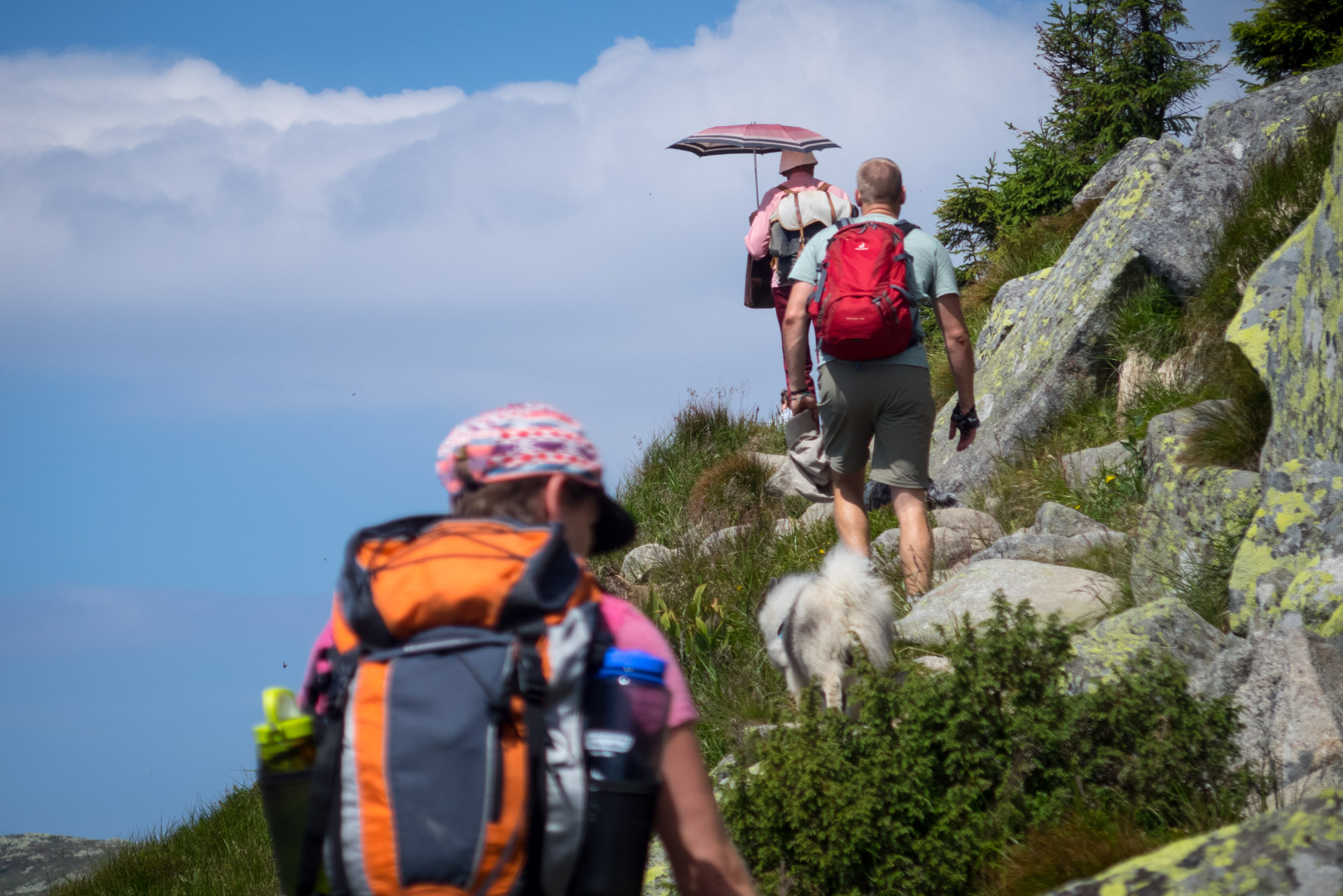 Ďumbier z Trangošky (Nízke Tatry)