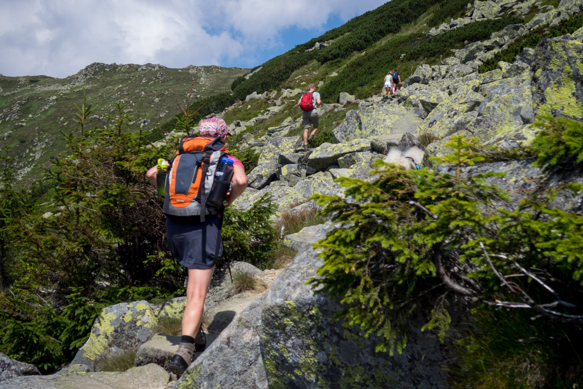 Ďumbier z Trangošky (Nízke Tatry)