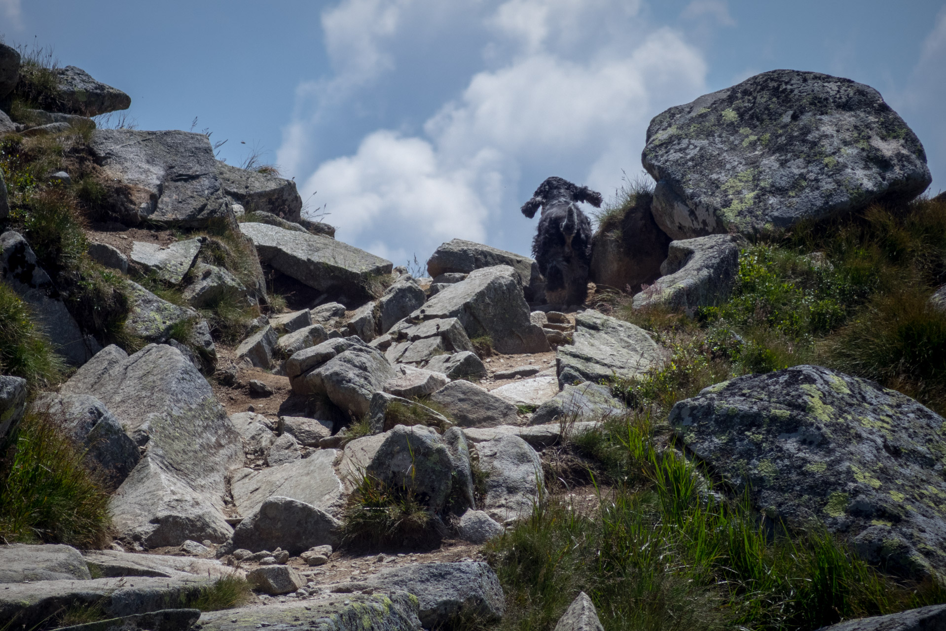 Ďumbier z Trangošky (Nízke Tatry)