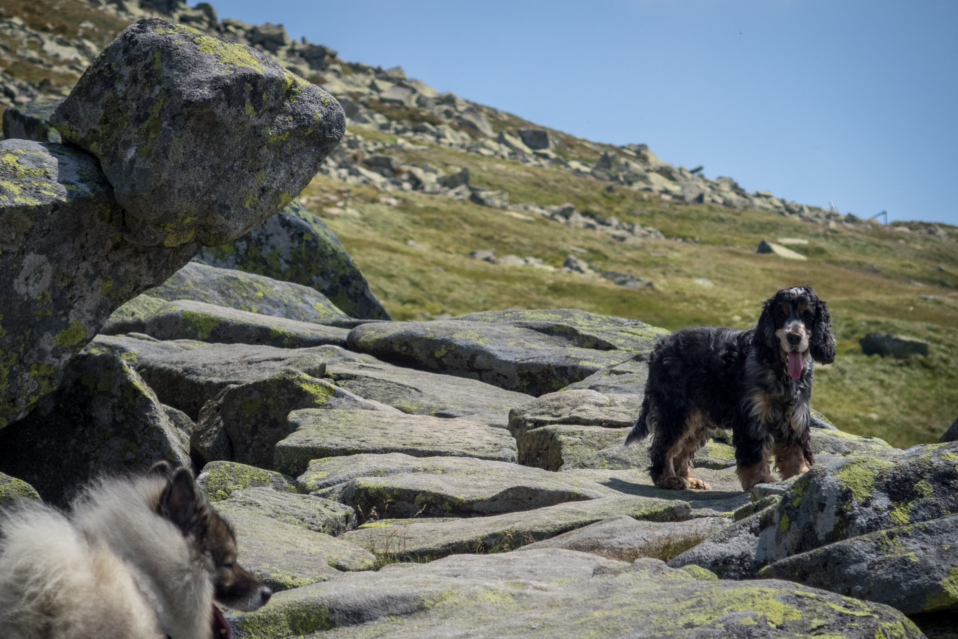 Ďumbier z Trangošky (Nízke Tatry)