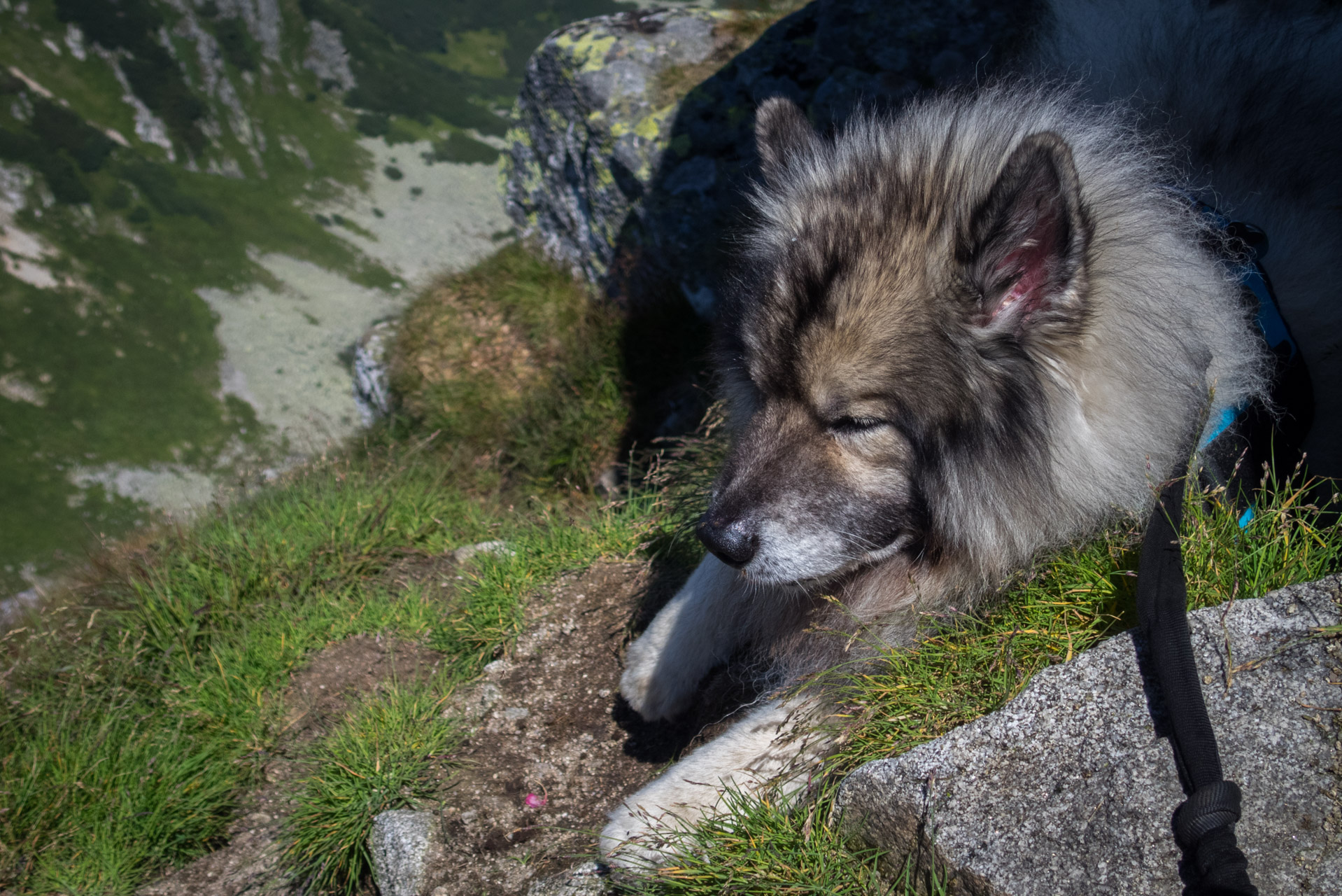 Ďumbier z Trangošky (Nízke Tatry)