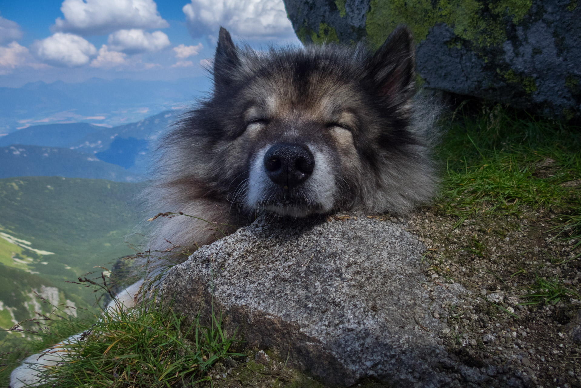 Ďumbier z Trangošky (Nízke Tatry)