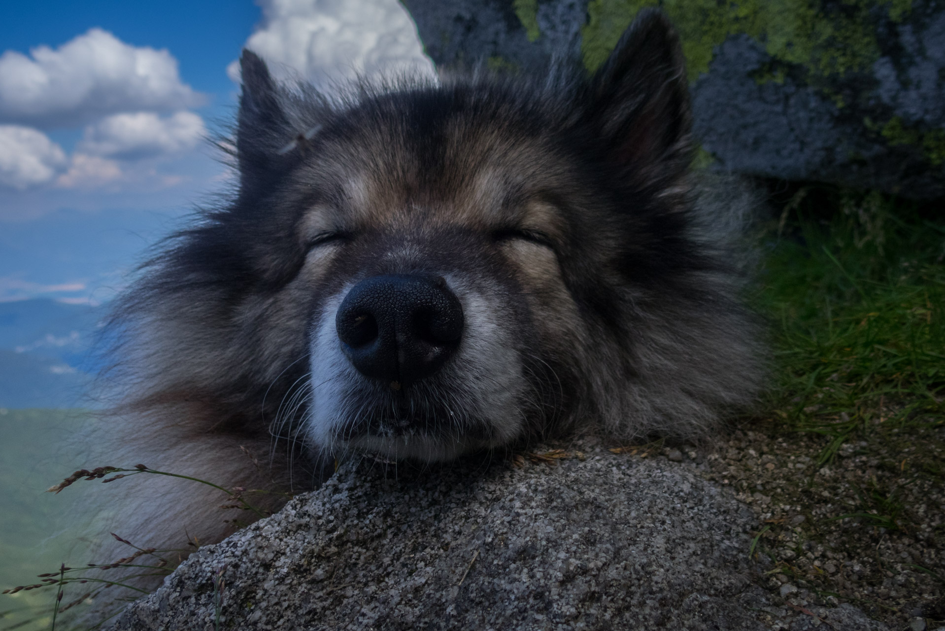 Ďumbier z Trangošky (Nízke Tatry)