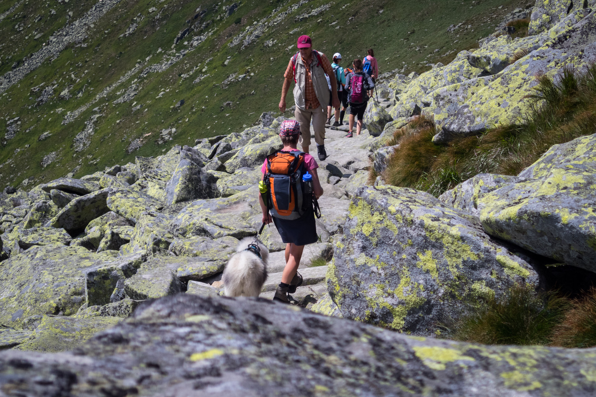 Ďumbier z Trangošky (Nízke Tatry)