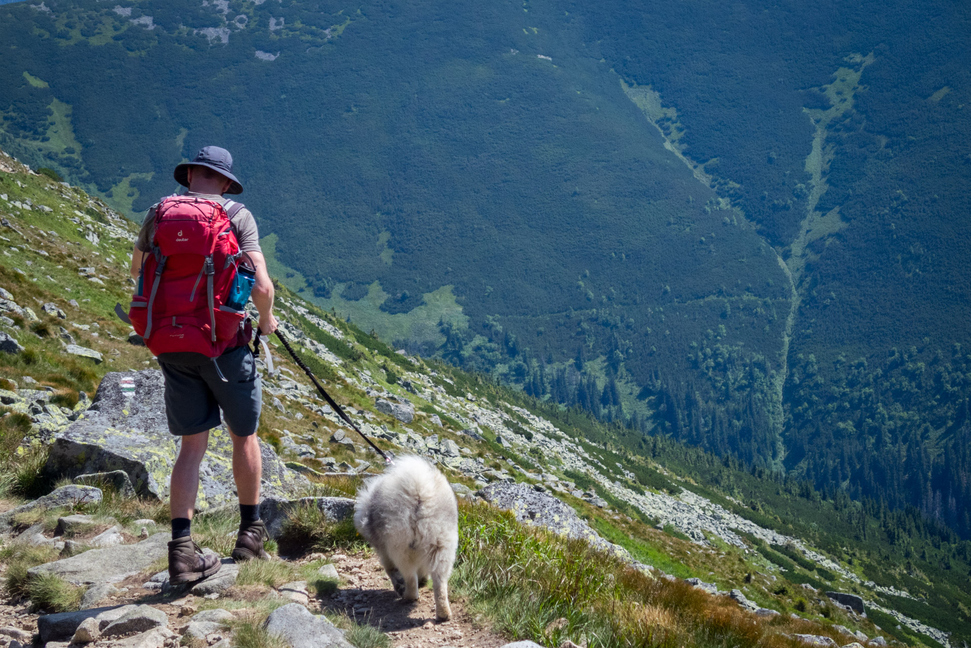 Ďumbier z Trangošky (Nízke Tatry)