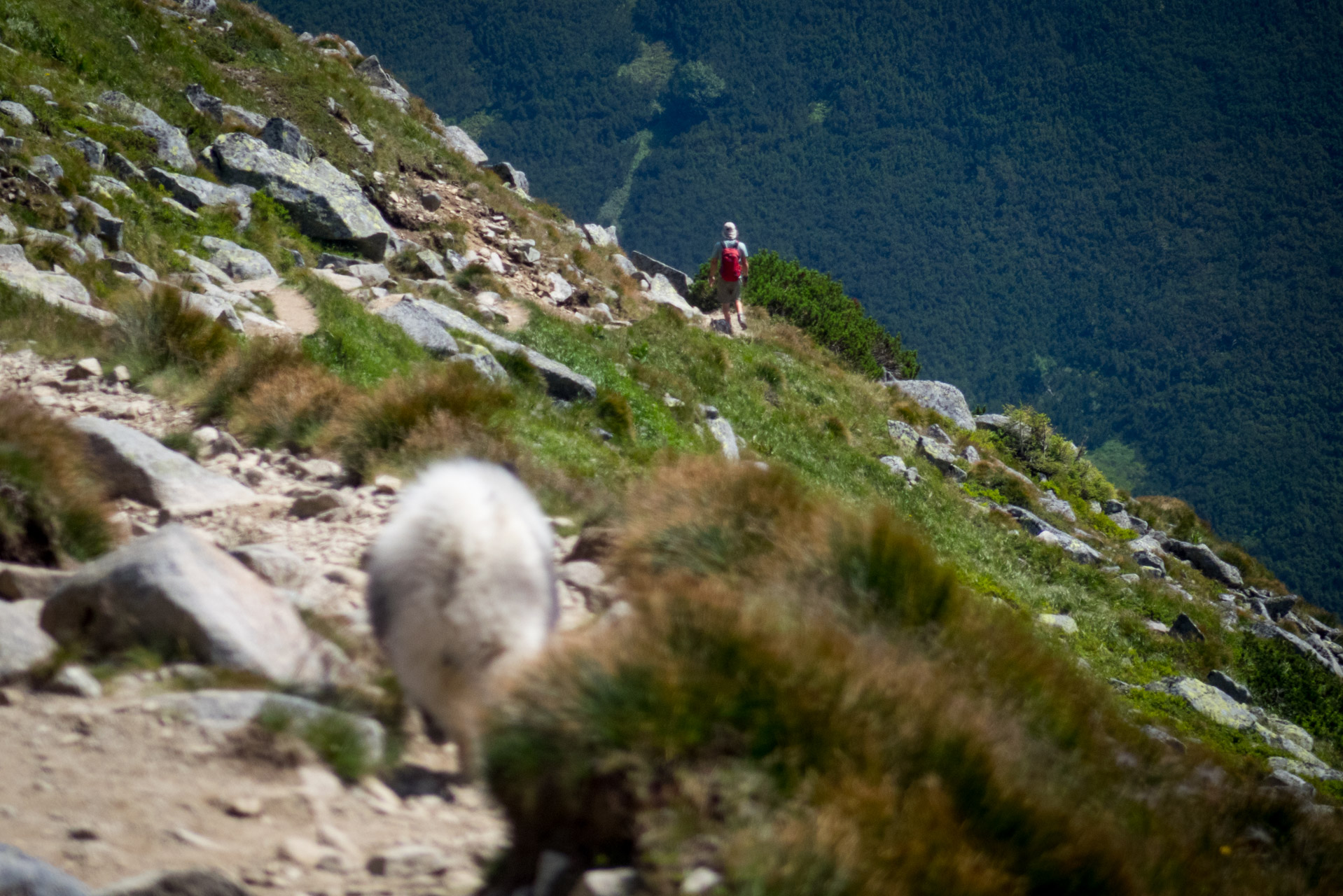 Ďumbier z Trangošky (Nízke Tatry)