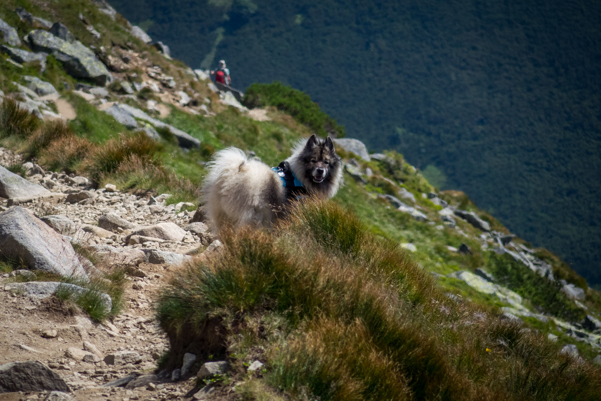 Ďumbier z Trangošky (Nízke Tatry)