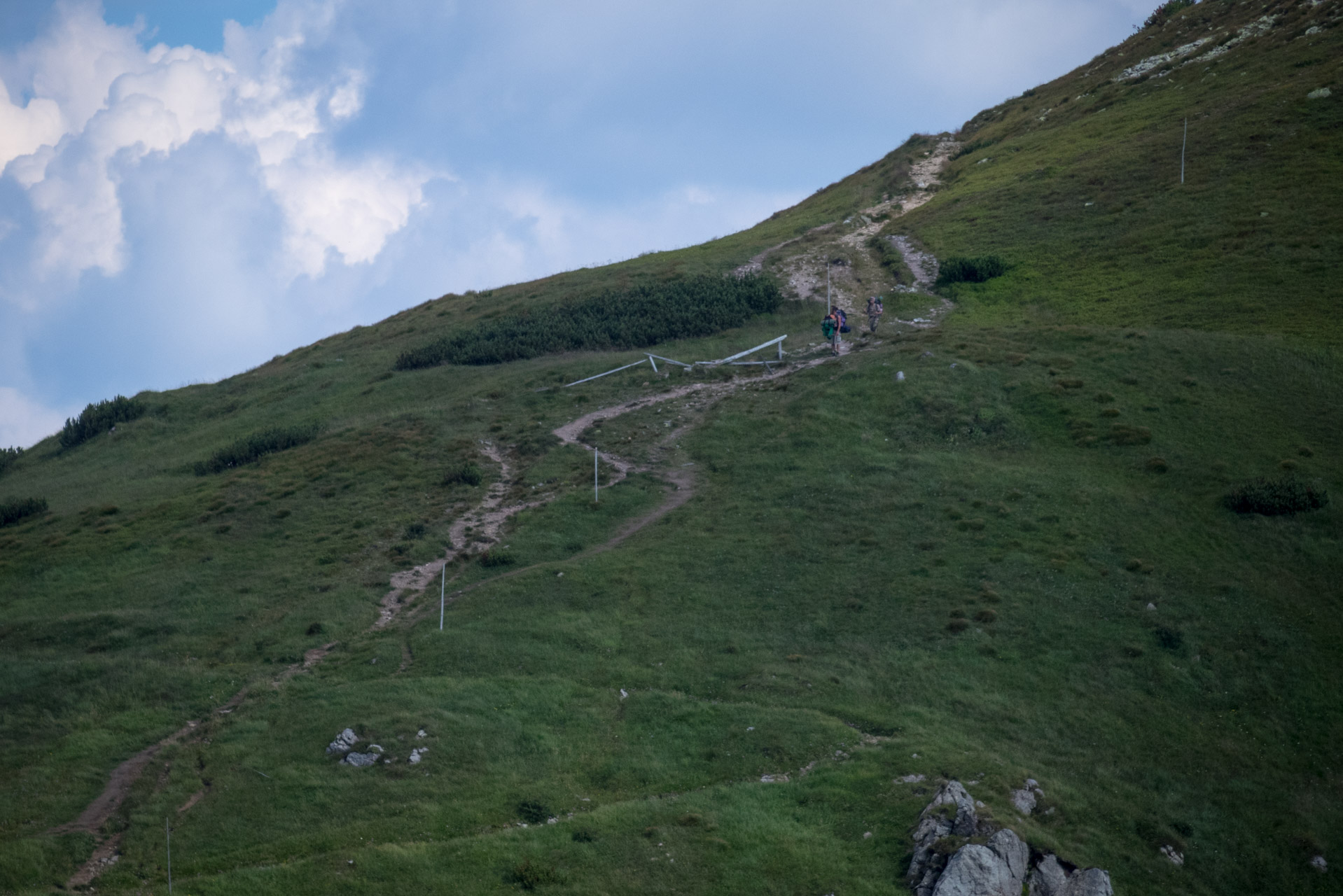 Ďumbier z Trangošky (Nízke Tatry)