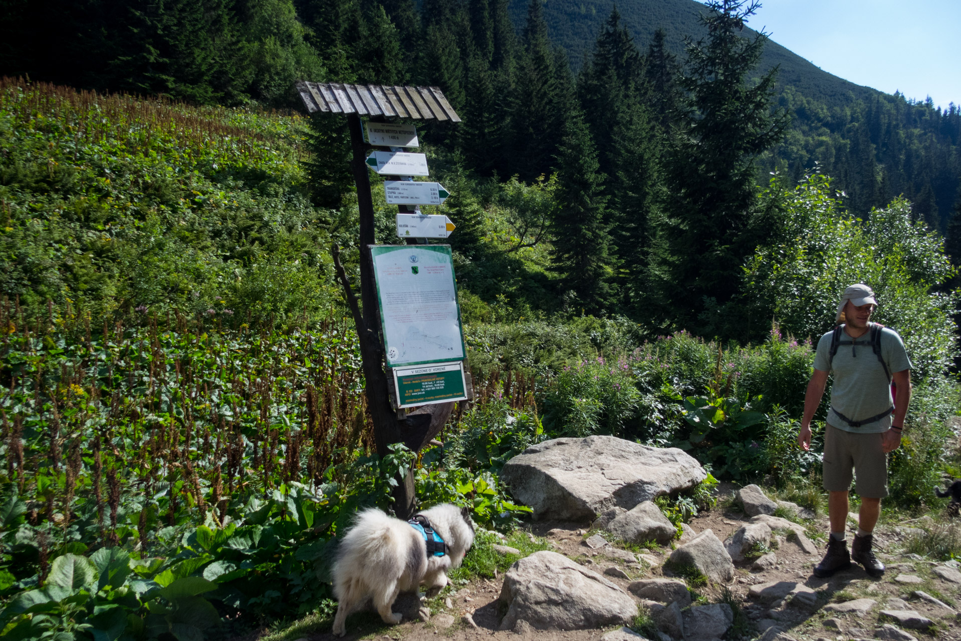 Ďumbier z Trangošky (Nízke Tatry)