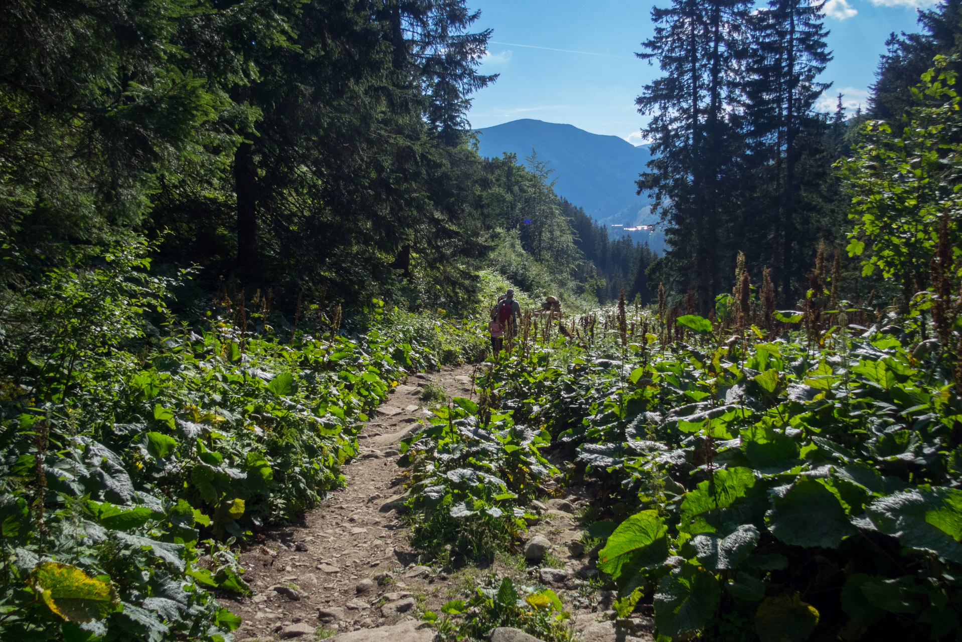 Ďumbier z Trangošky (Nízke Tatry)