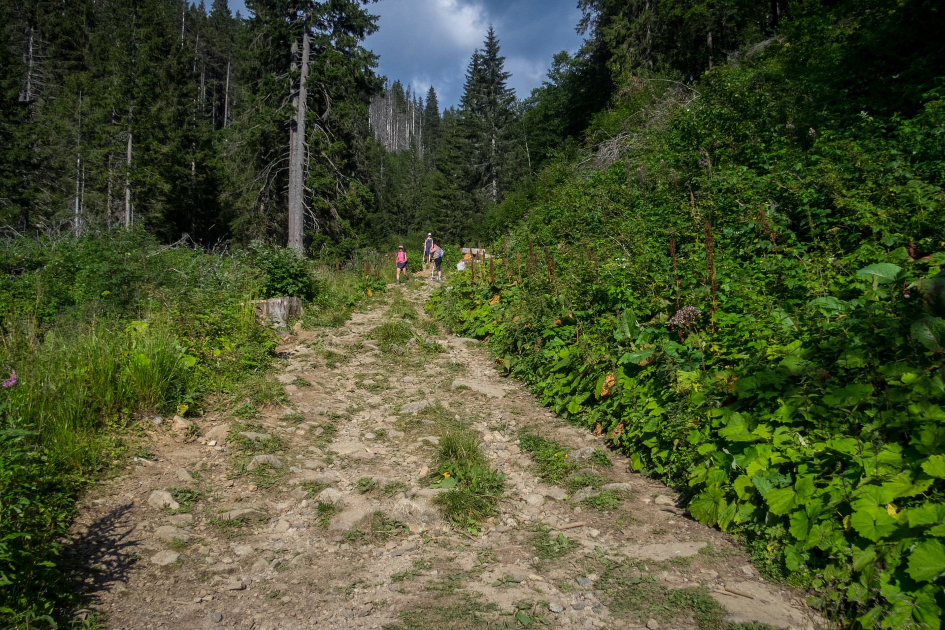 Ďumbier z Trangošky (Nízke Tatry)