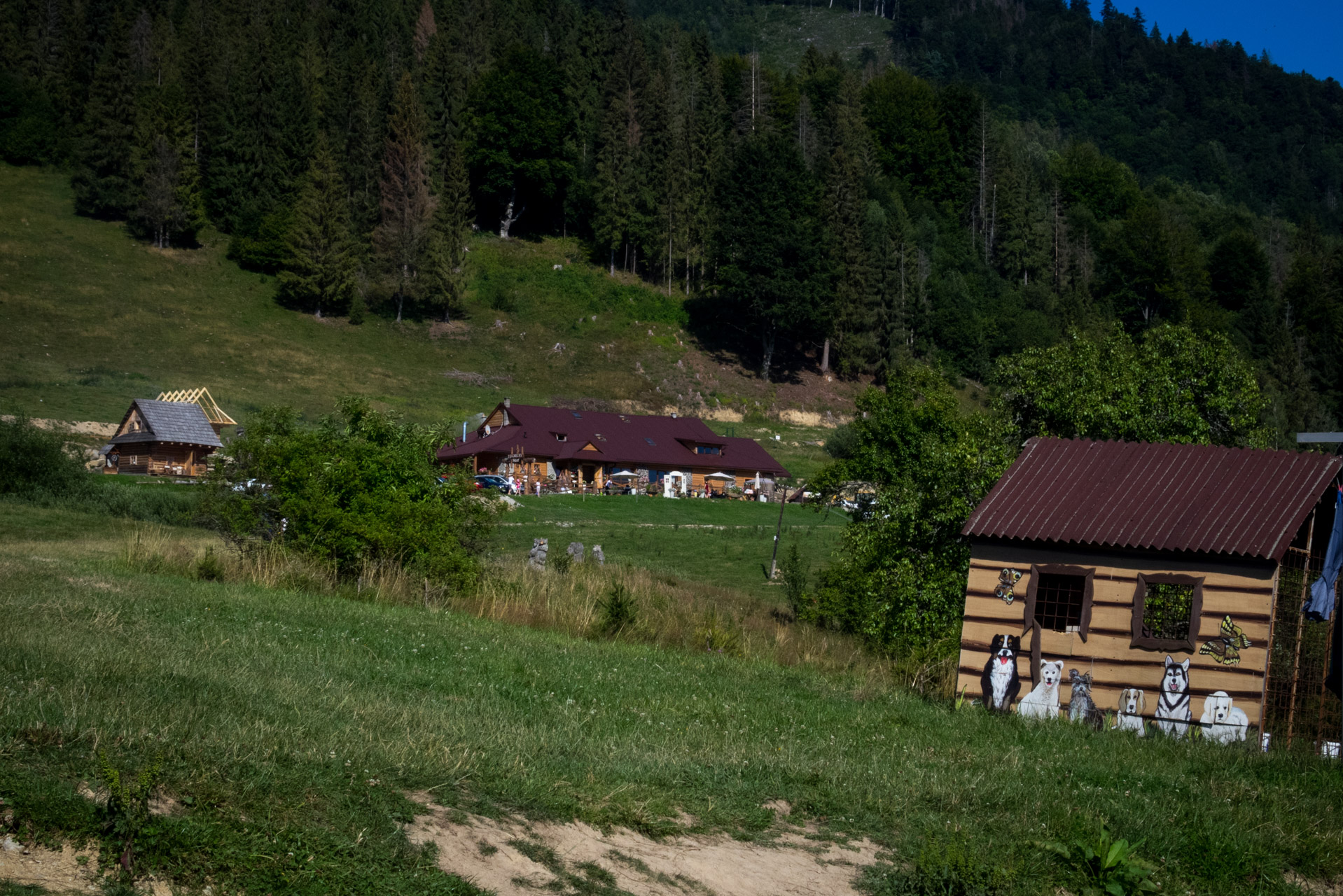 Ďumbier z Trangošky (Nízke Tatry)