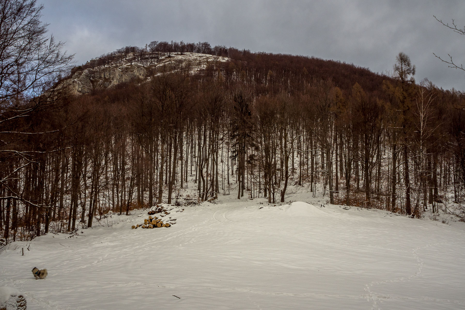 Folkmarská skala z Kojšova (Volovské vrchy)