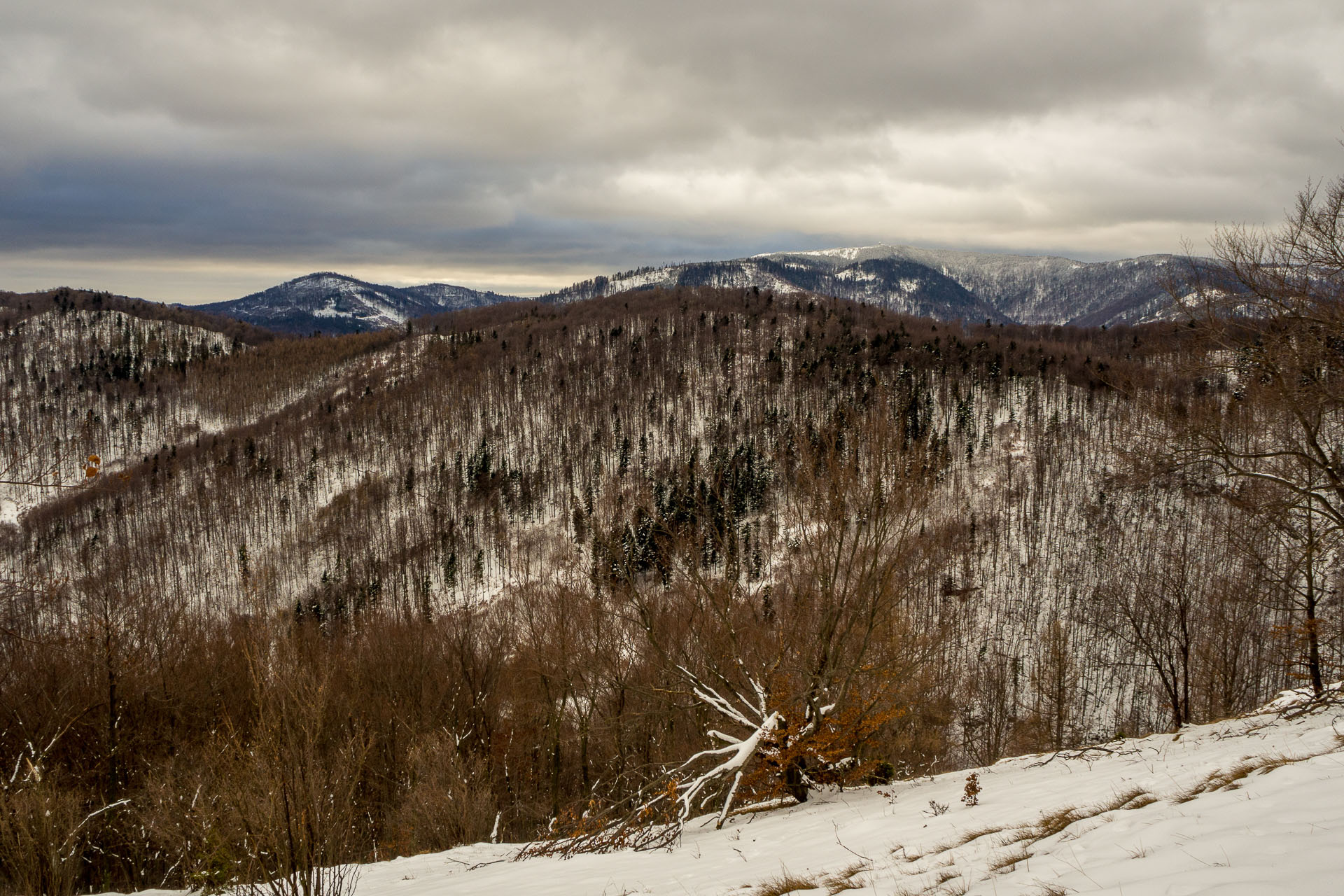 Folkmarská skala z Kojšova (Volovské vrchy)