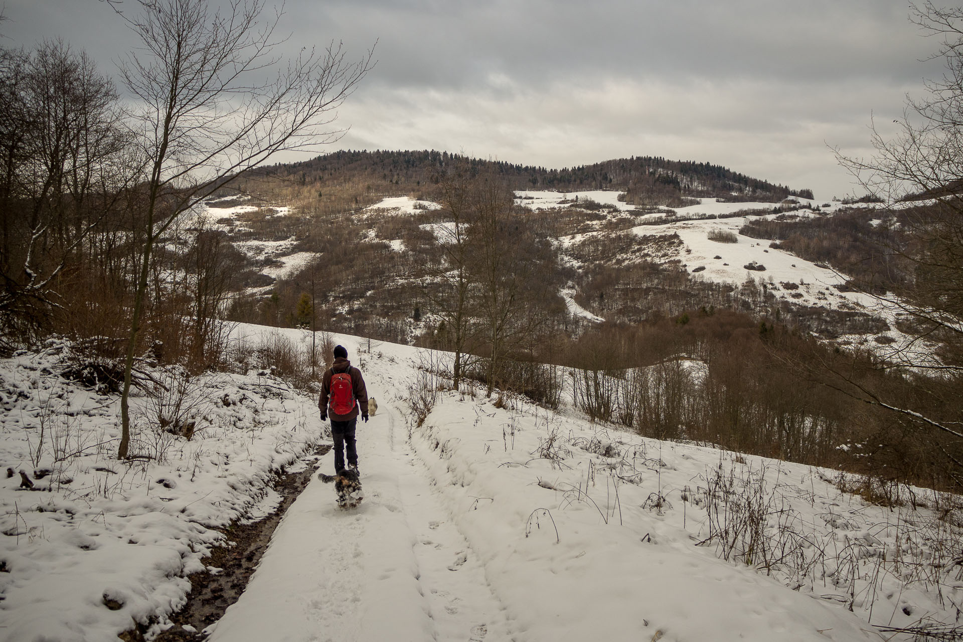 Folkmarská skala z Kojšova (Volovské vrchy)