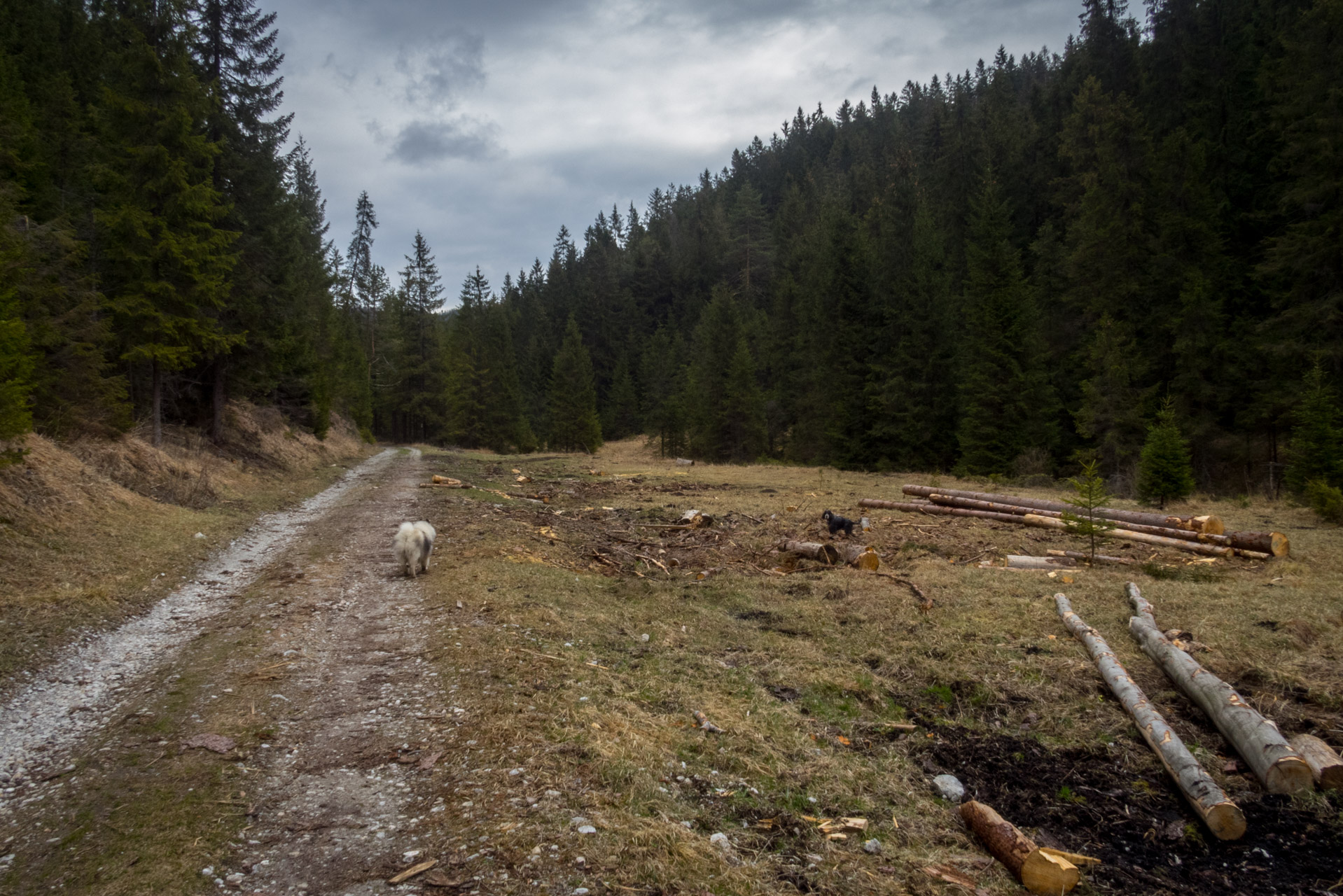 Gačská skala zo Stratenej (Slovenský raj)