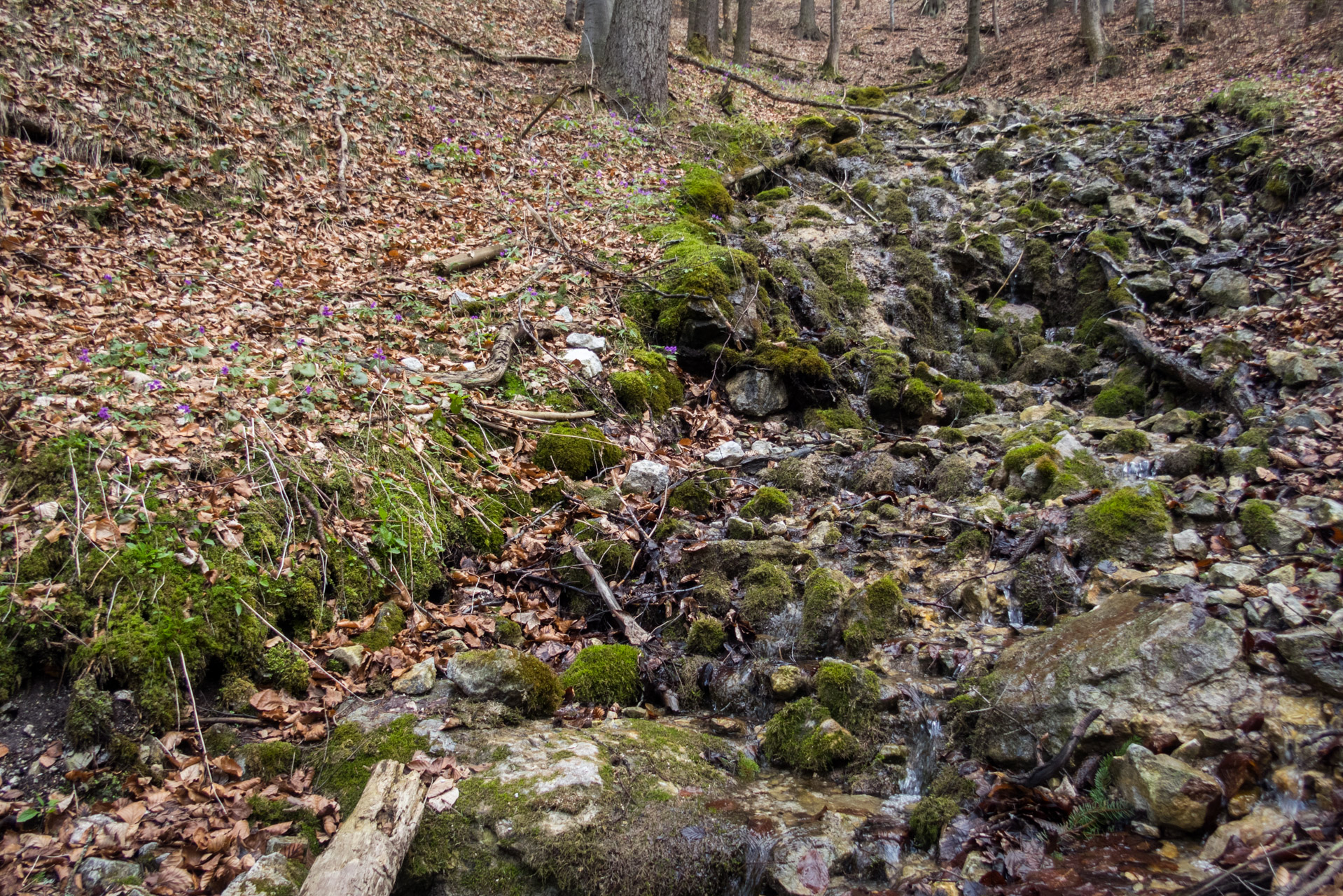 Gačská skala zo Stratenej (Slovenský raj)