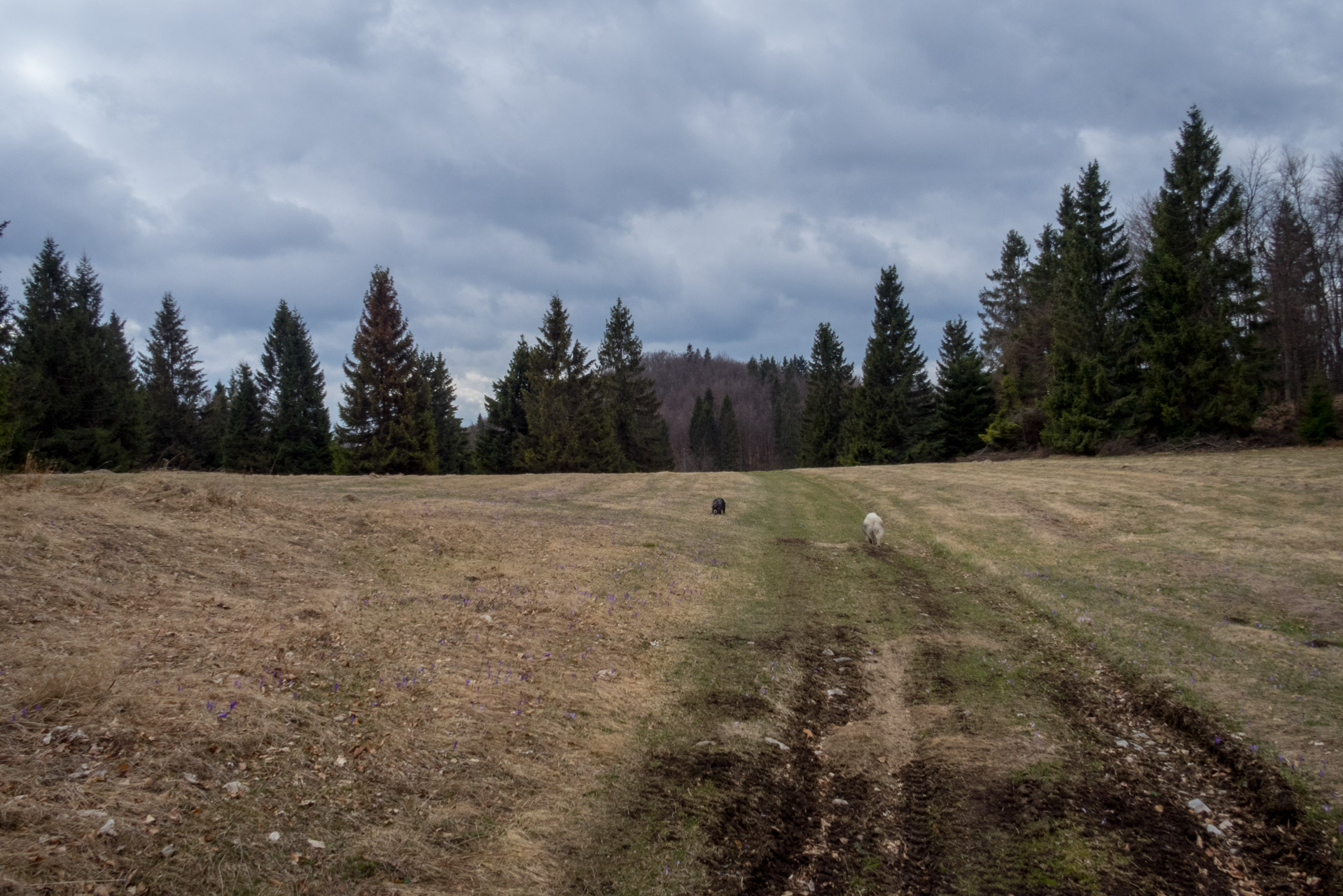 Gačská skala zo Stratenej (Slovenský raj)