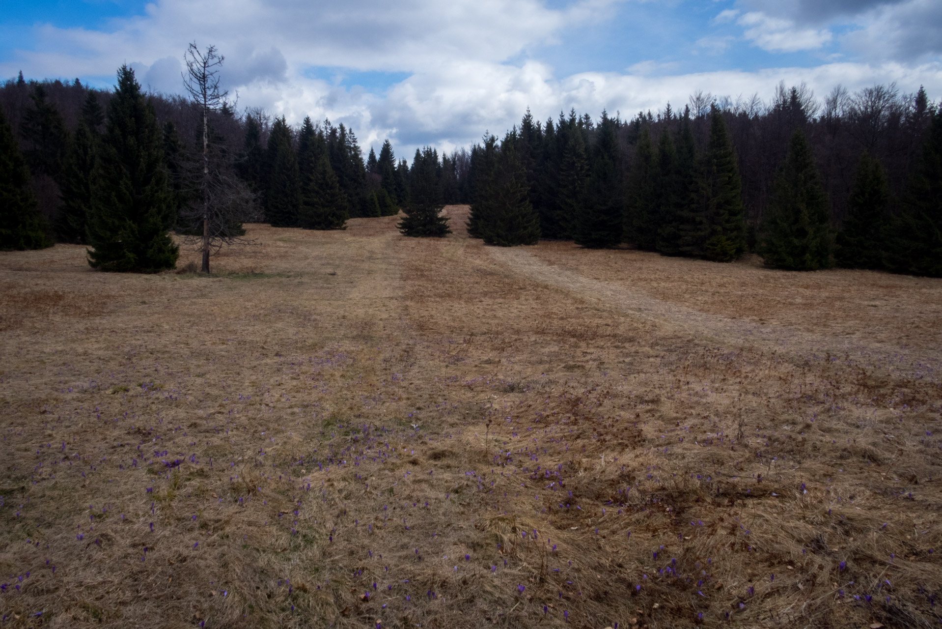 Gačská skala zo Stratenej (Slovenský raj)