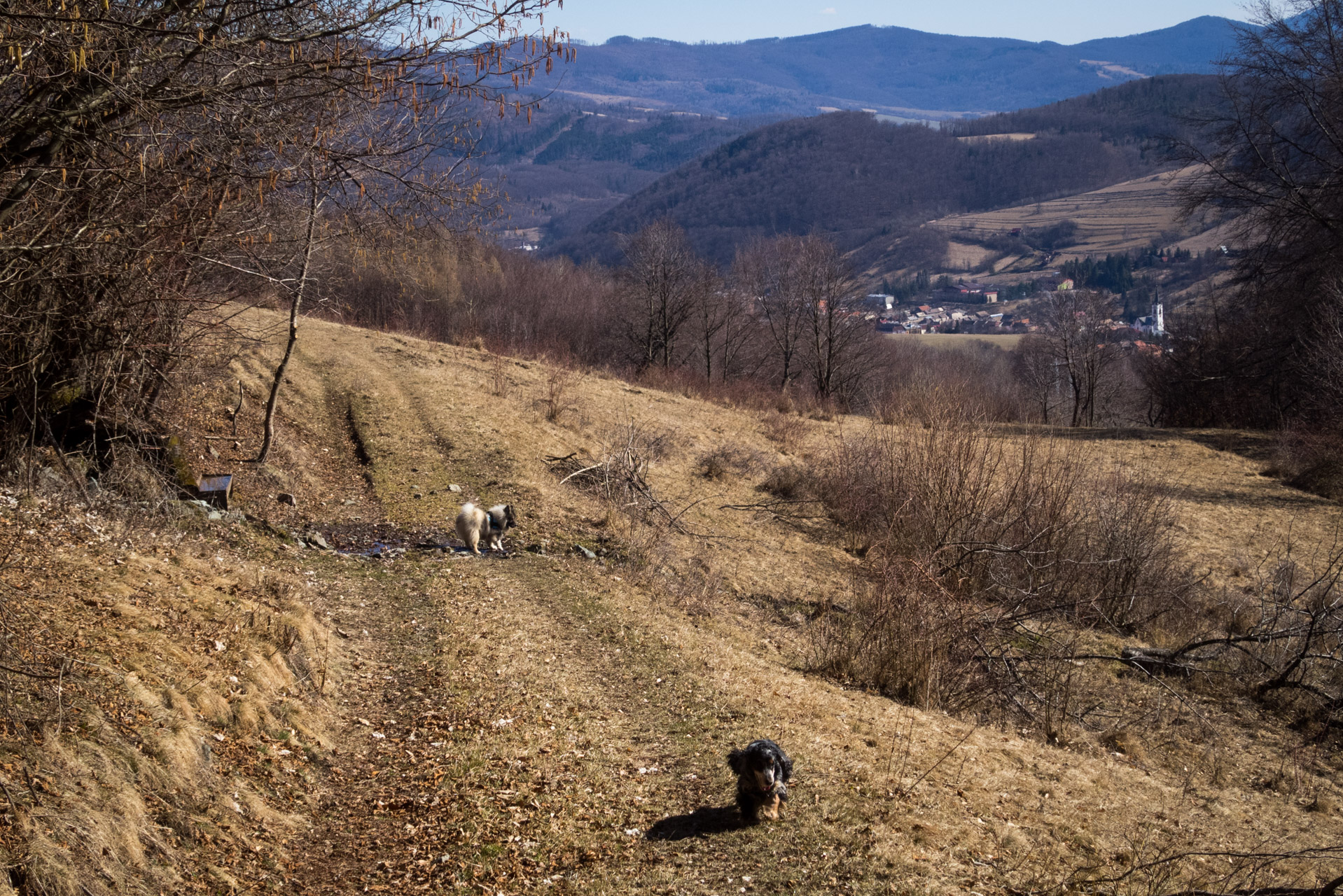 Gápeľ z Dobšinej cez Pod Hanesovou I. (Revúcka vrchovina)