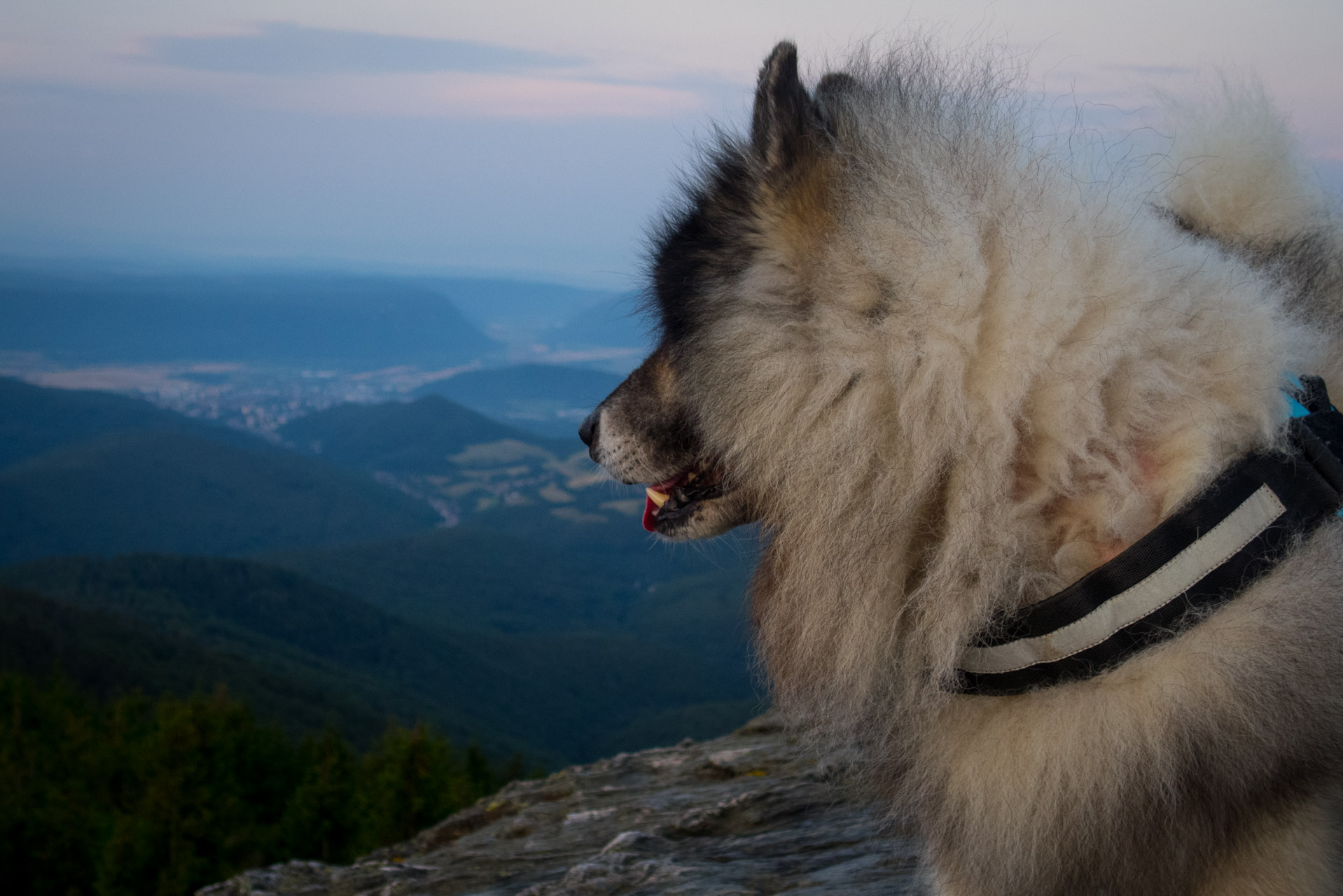 Henclová zo Skaliska (Volovské vrchy)