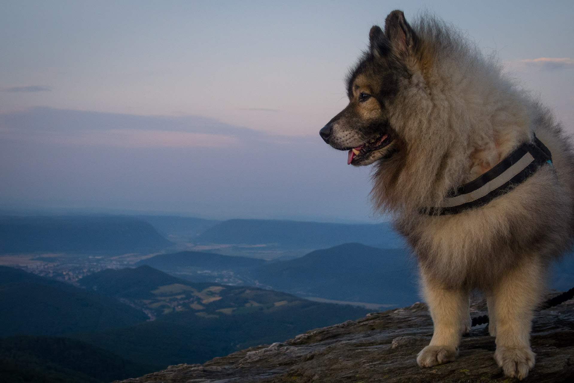 Henclová zo Skaliska (Volovské vrchy)