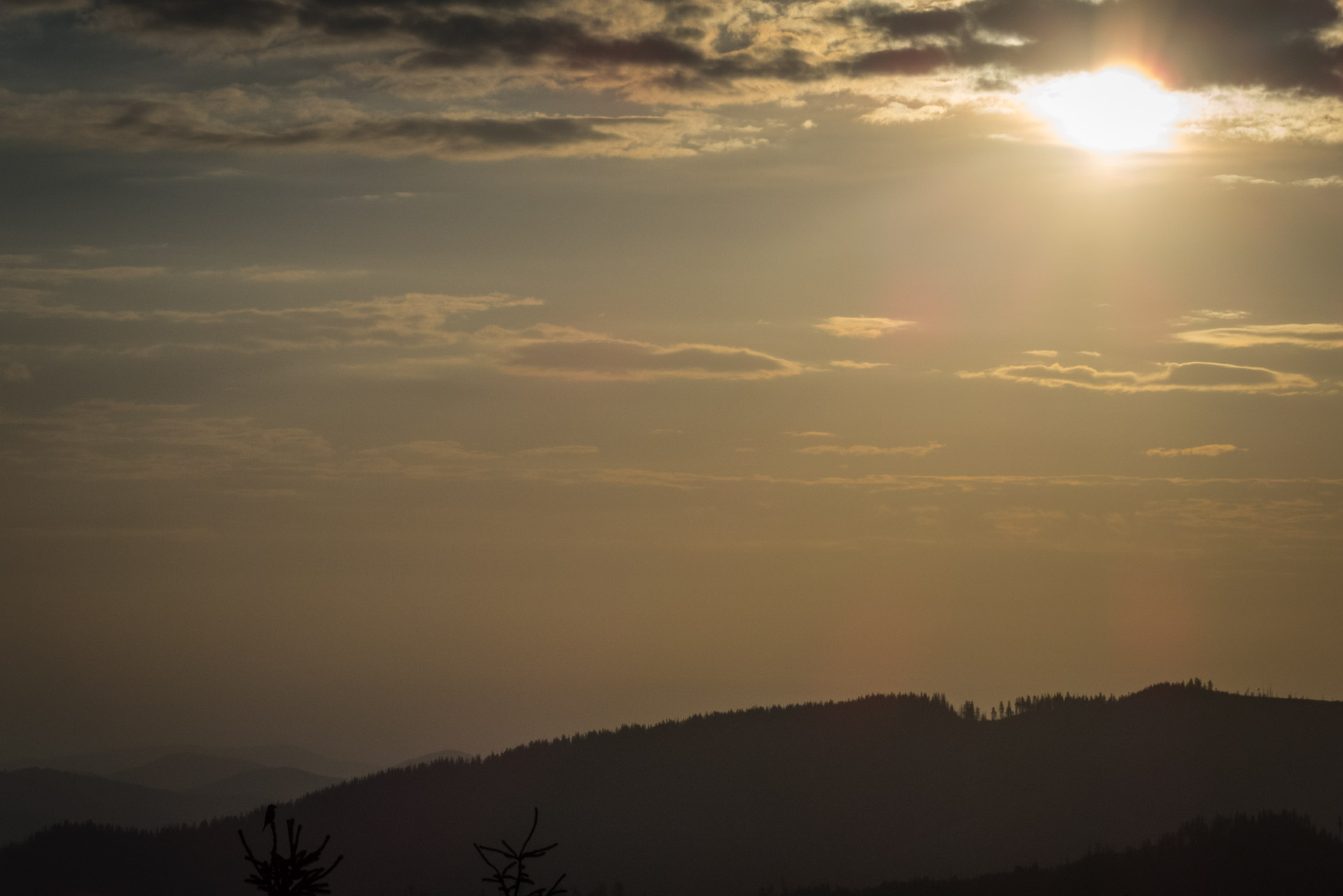 Henclová zo Skaliska (Volovské vrchy)