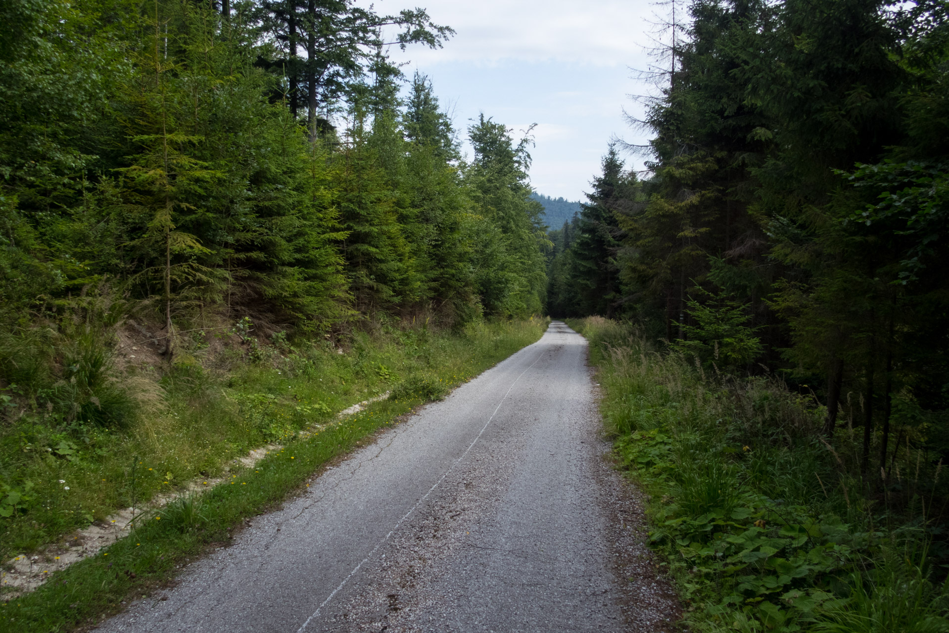 Henclová zo Skaliska (Volovské vrchy)