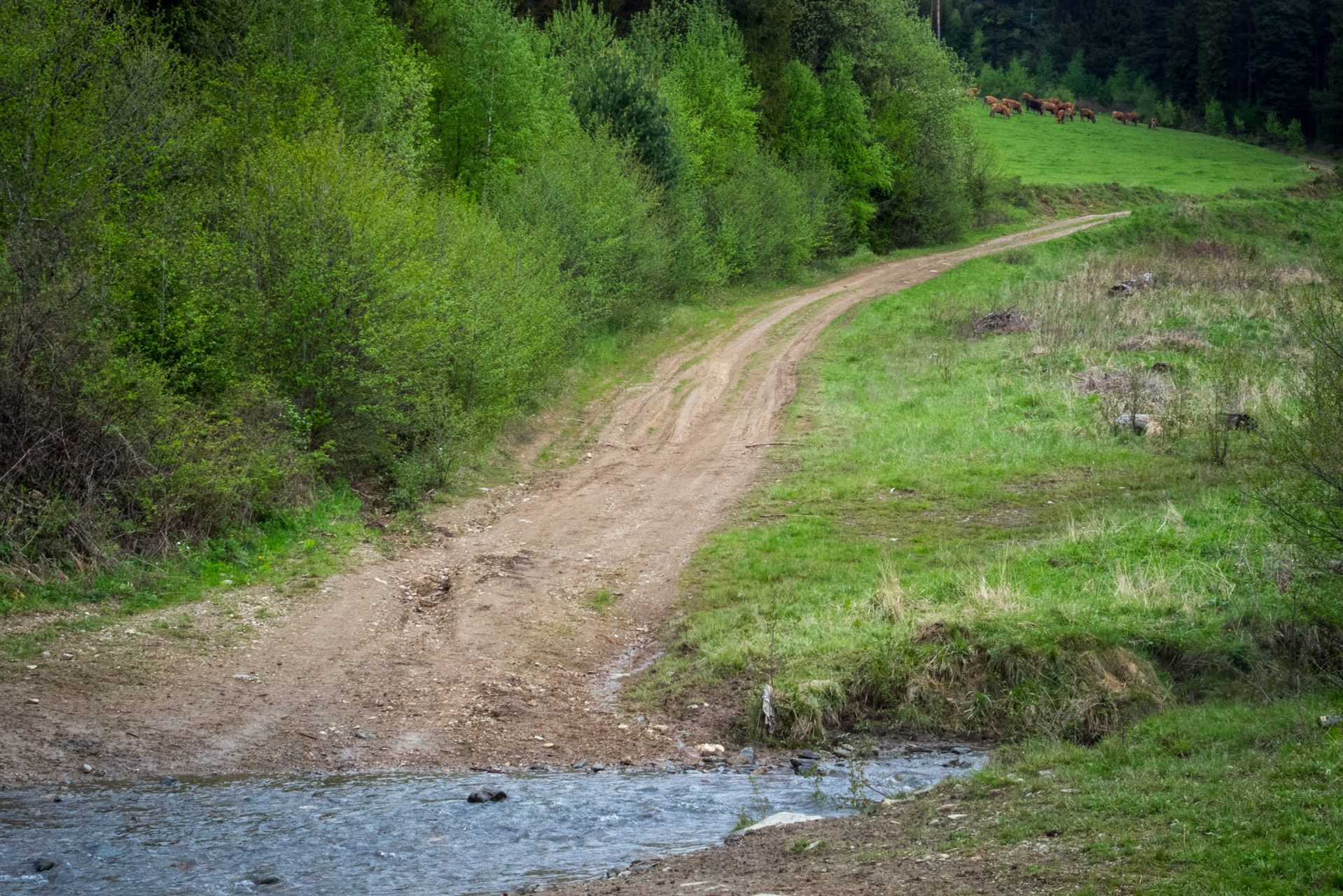 Holý vrch a Bukovec zo Švedlára (Volovské vrchy)