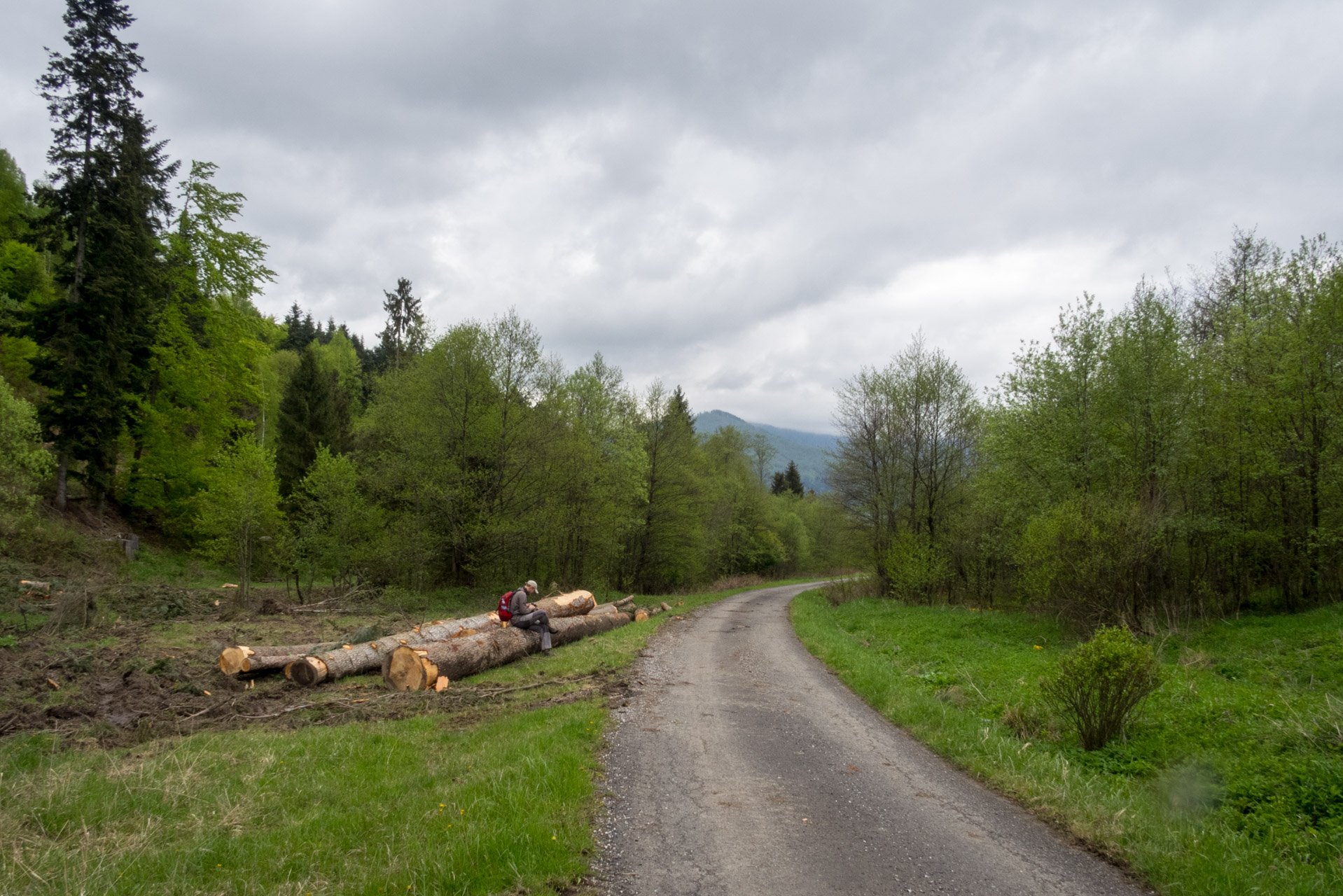 Holý vrch a Bukovec zo Švedlára (Volovské vrchy)