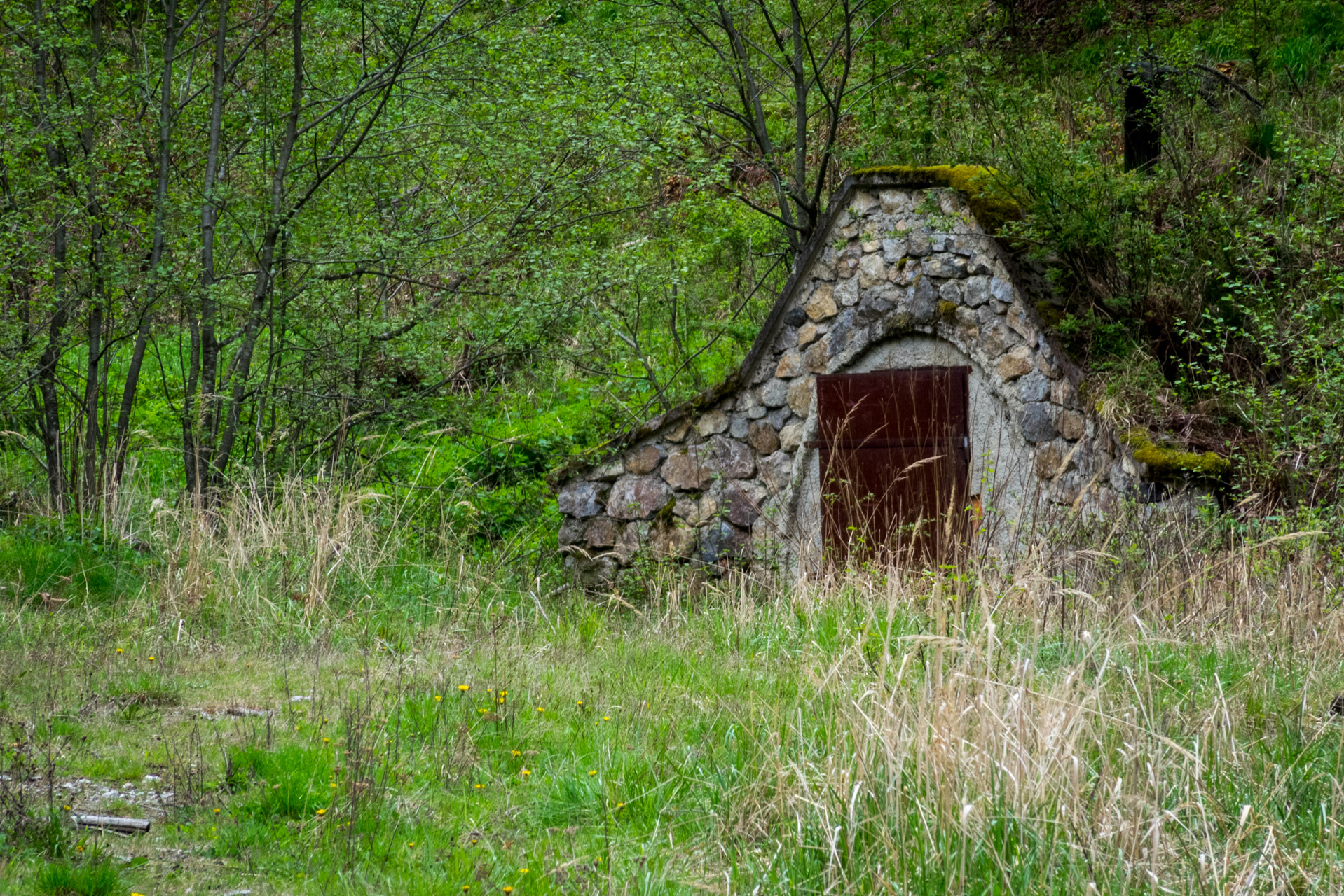 Holý vrch a Bukovec zo Švedlára (Volovské vrchy)