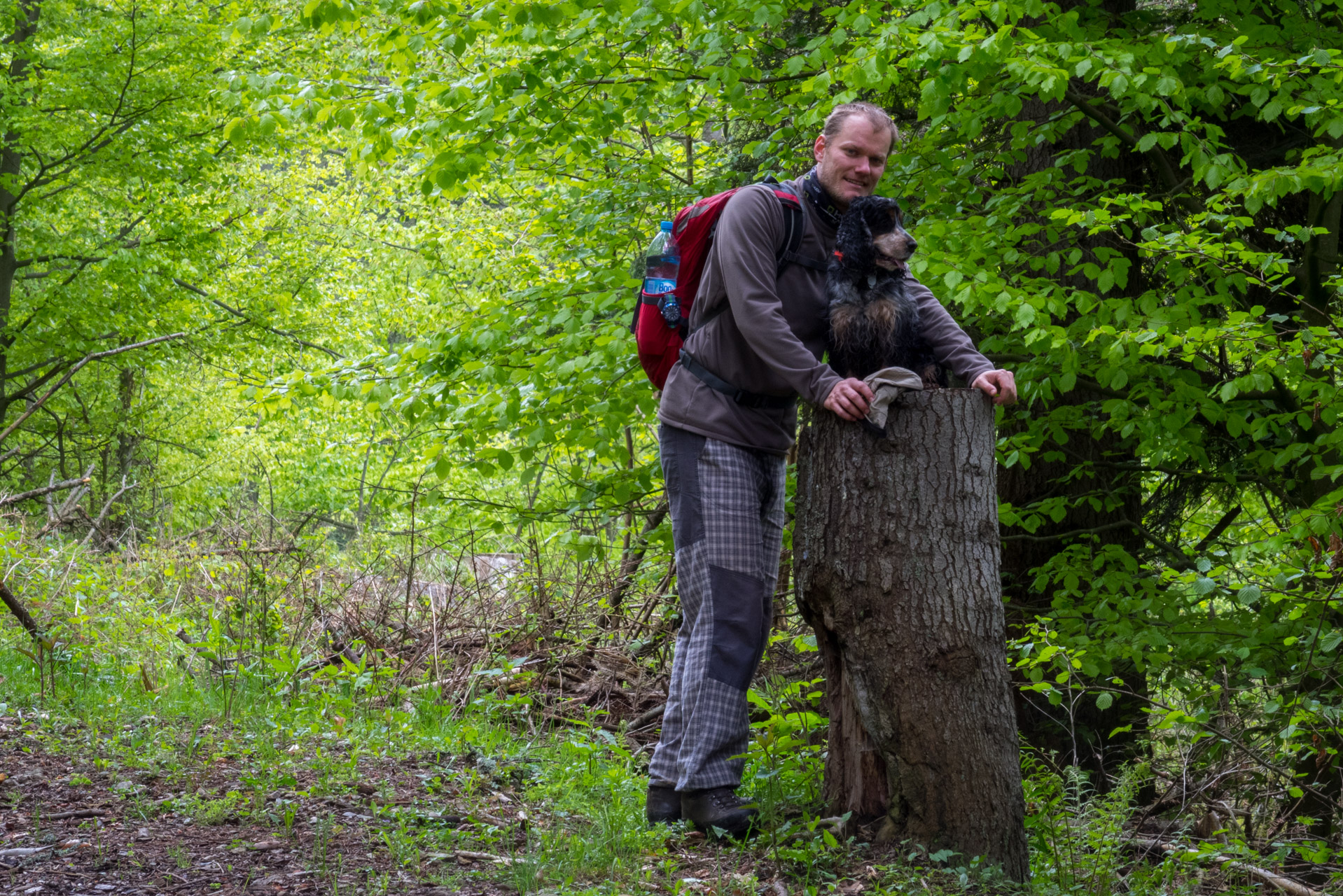 Holý vrch a Bukovec zo Švedlára (Volovské vrchy)