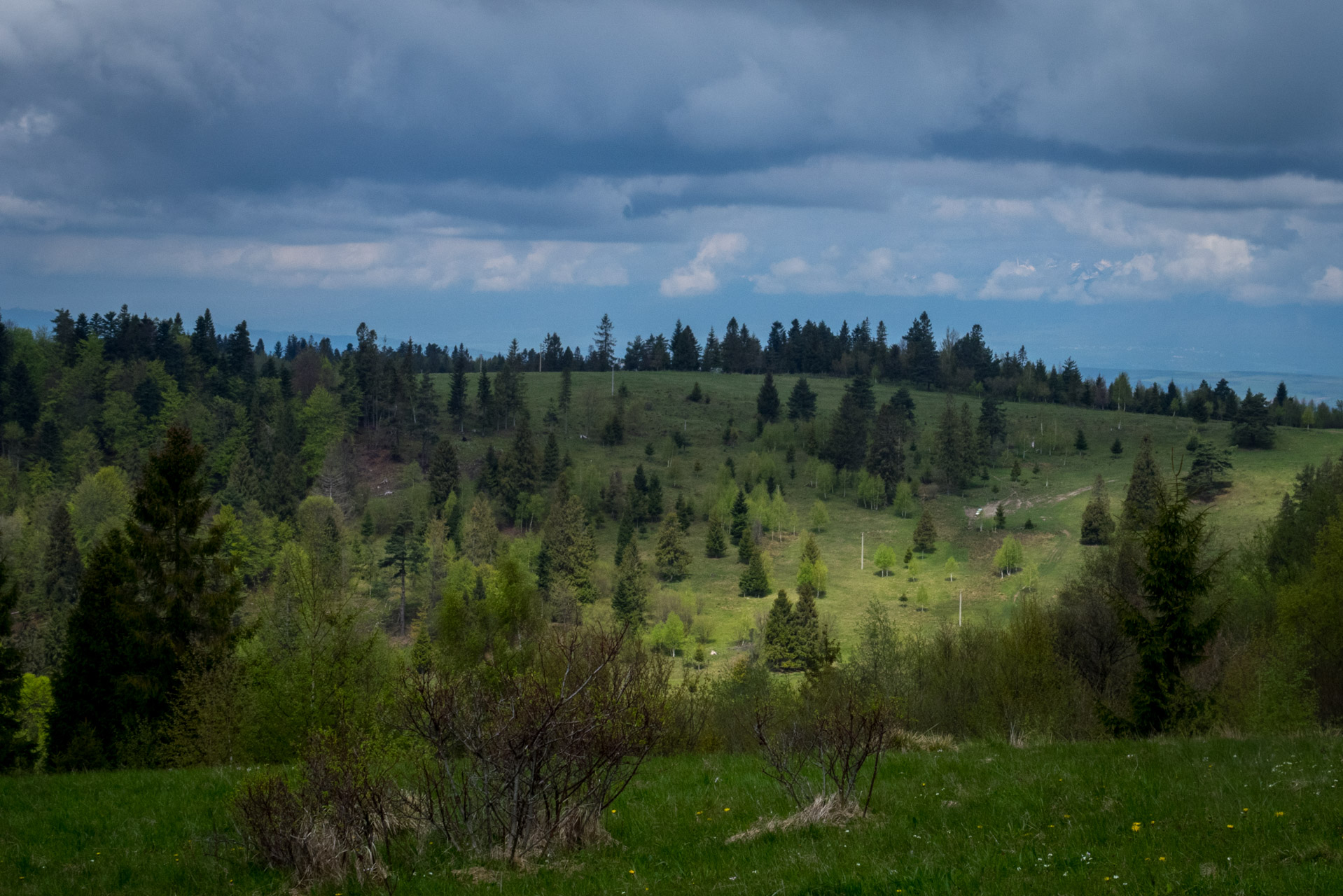 Holý vrch a Bukovec zo Švedlára (Volovské vrchy)