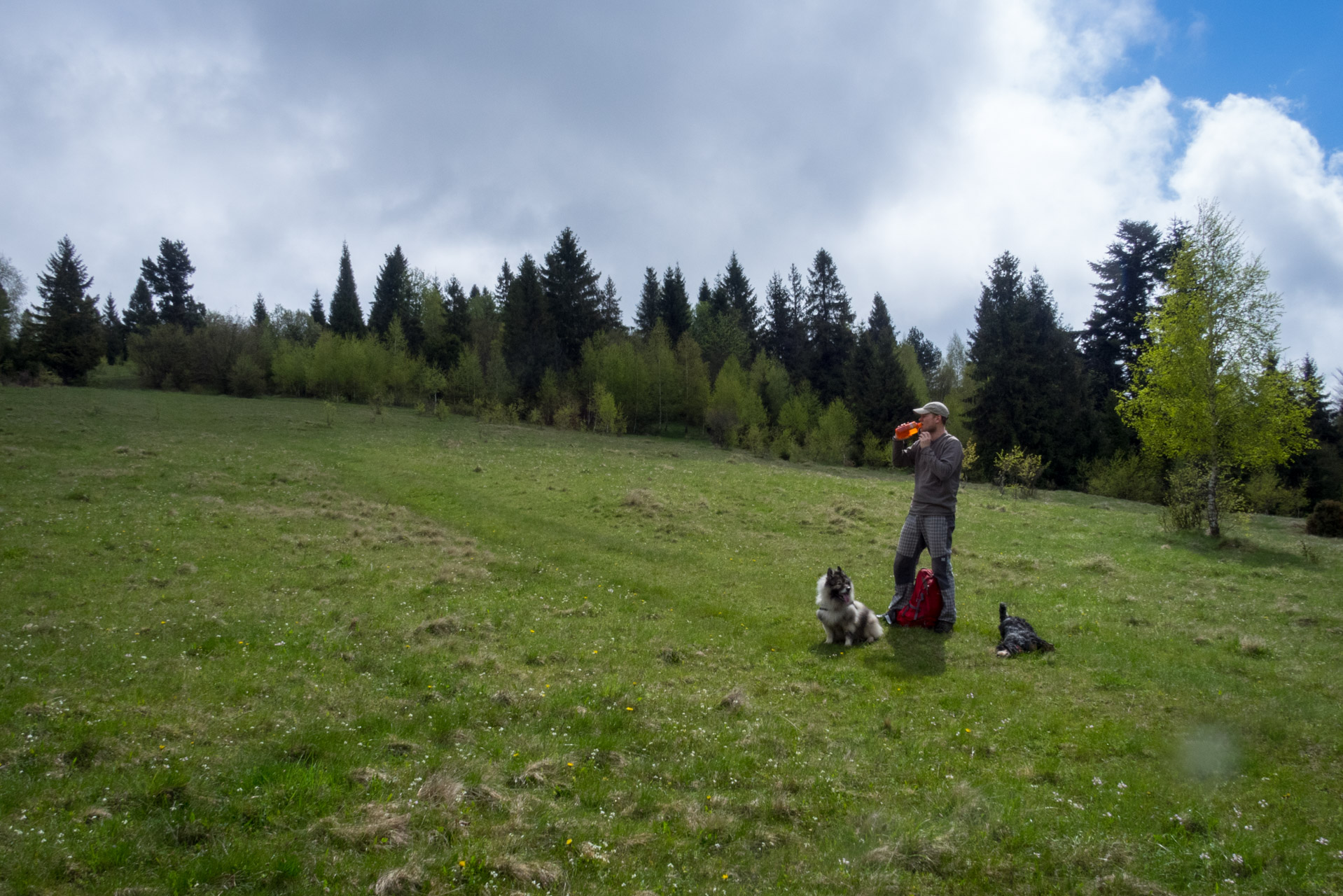 Holý vrch a Bukovec zo Švedlára (Volovské vrchy)