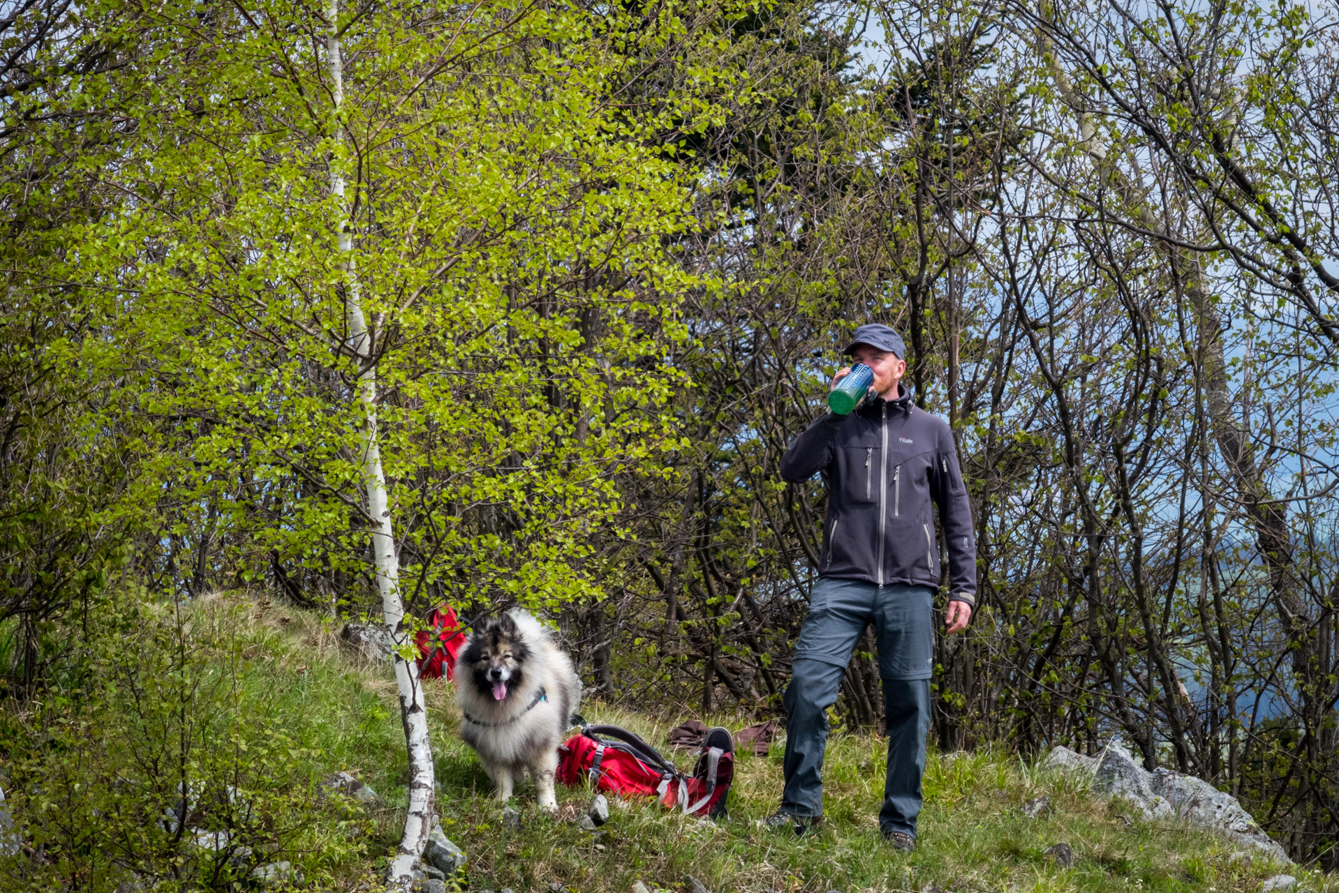 Holý vrch a Bukovec zo Švedlára (Volovské vrchy)