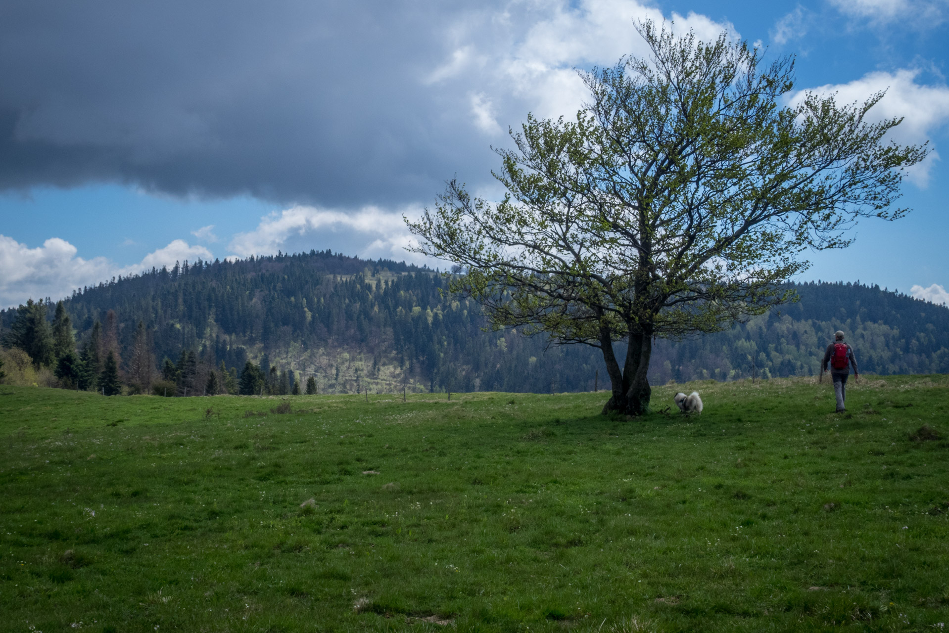 Holý vrch a Bukovec zo Švedlára (Volovské vrchy)