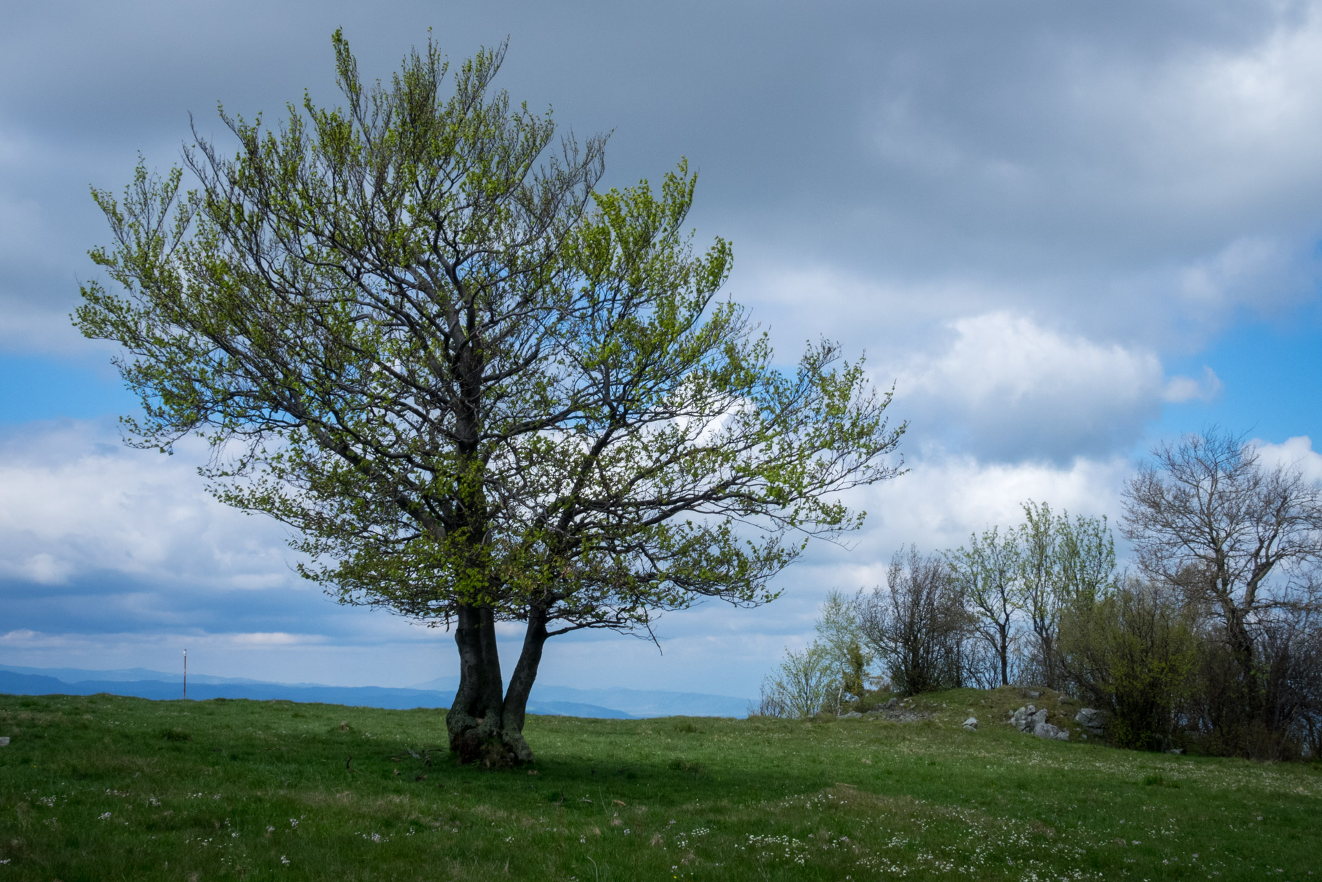 Holý vrch a Bukovec zo Švedlára (Volovské vrchy)