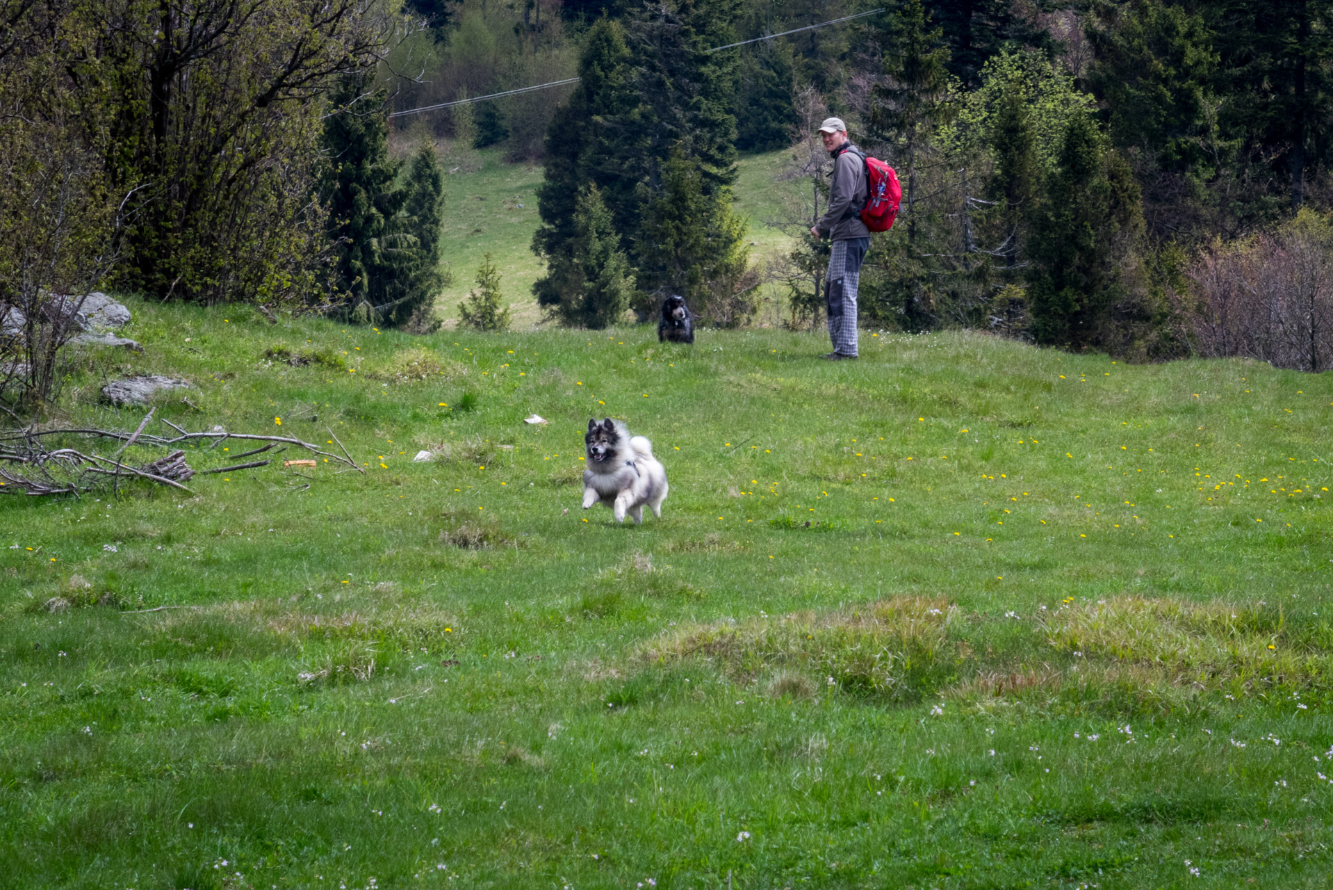 Holý vrch a Bukovec zo Švedlára (Volovské vrchy)