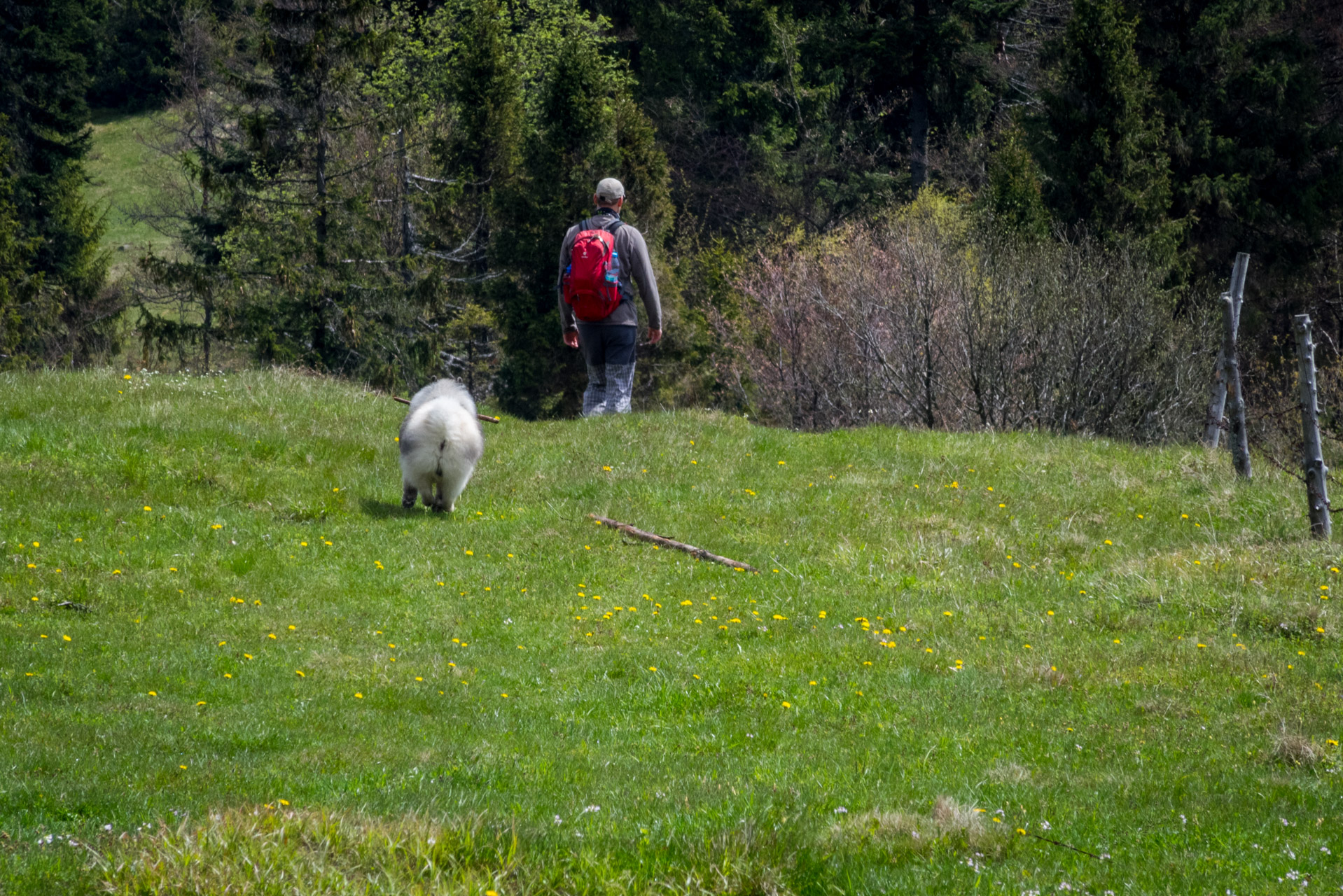 Holý vrch a Bukovec zo Švedlára (Volovské vrchy)