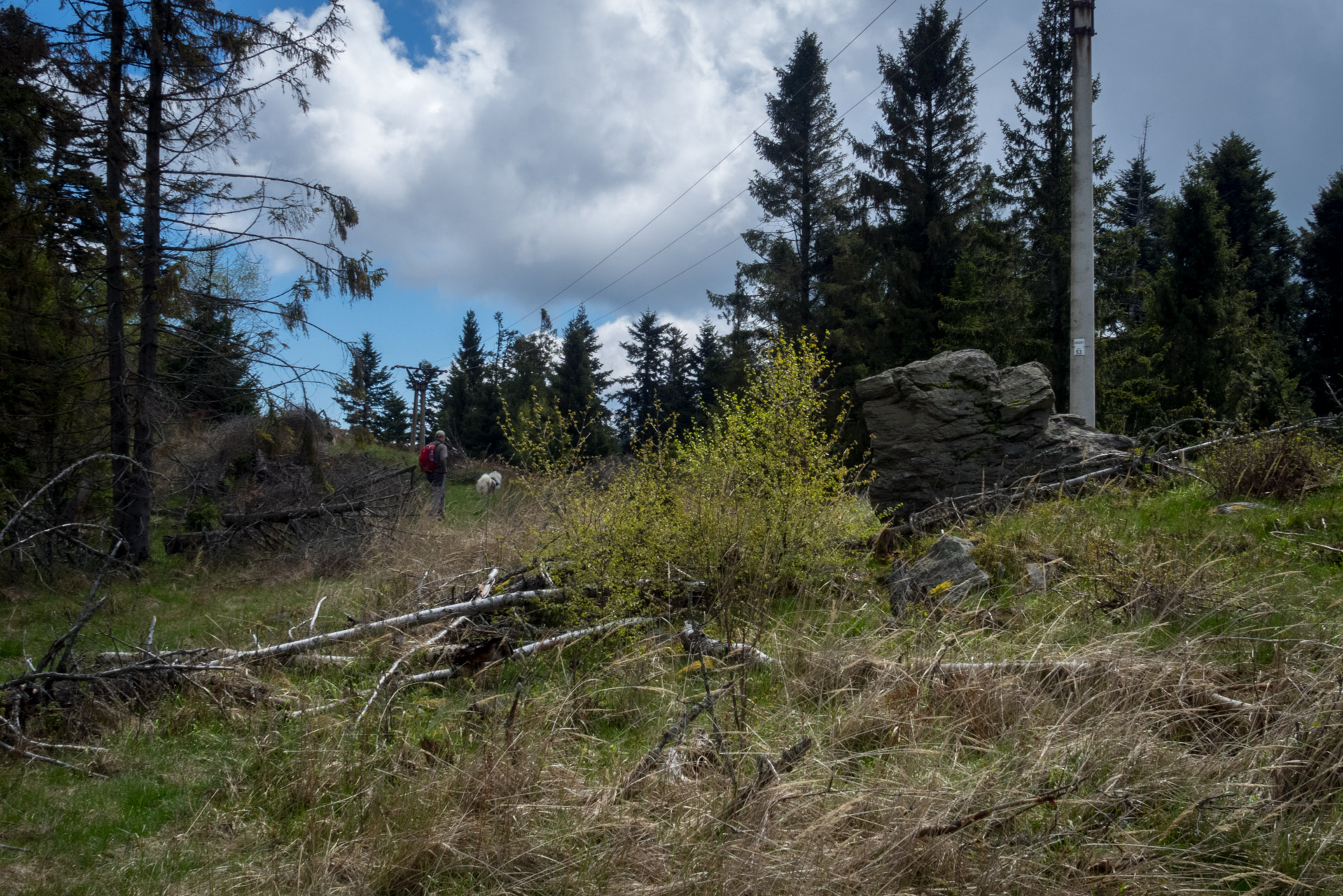 Holý vrch a Bukovec zo Švedlára (Volovské vrchy)