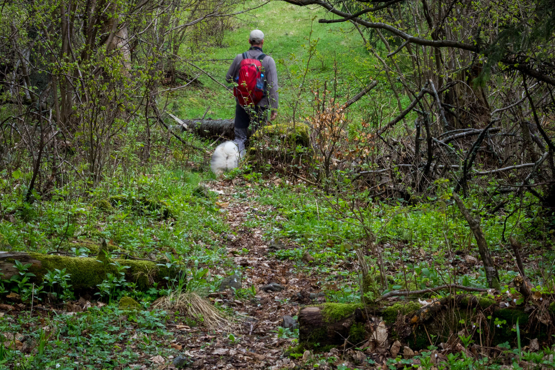 Holý vrch a Bukovec zo Švedlára (Volovské vrchy)