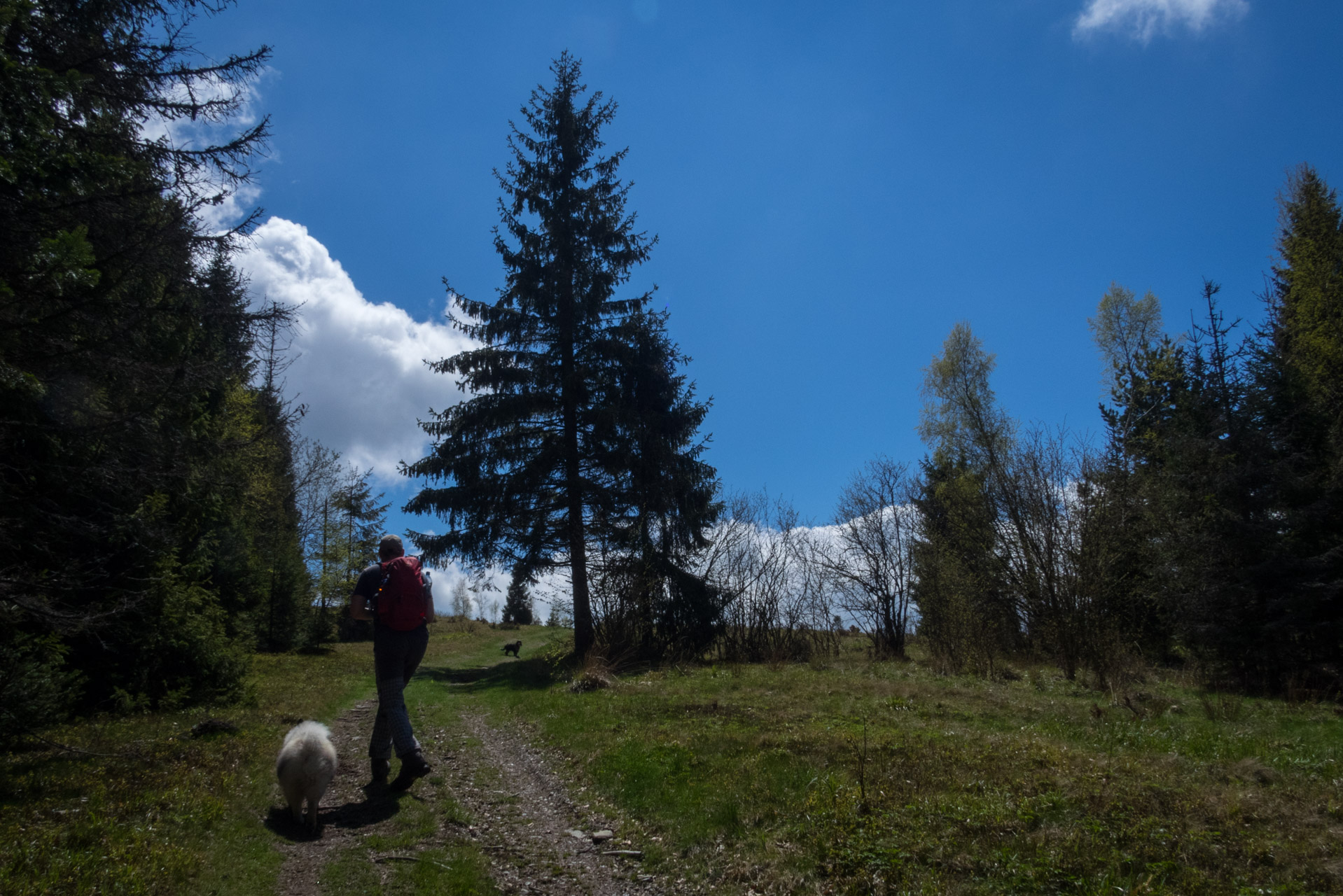 Holý vrch a Bukovec zo Švedlára (Volovské vrchy)