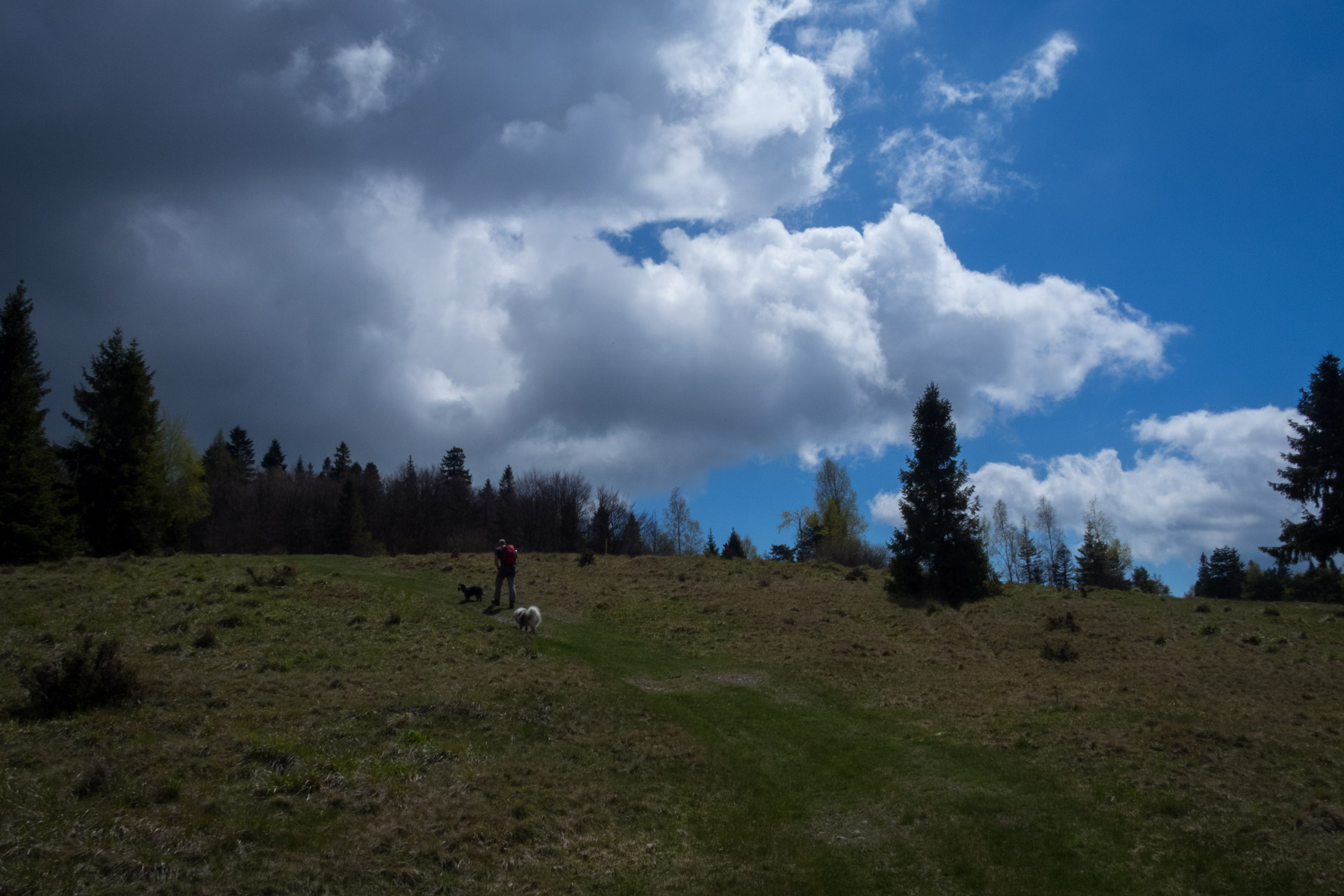 Holý vrch a Bukovec zo Švedlára (Volovské vrchy)