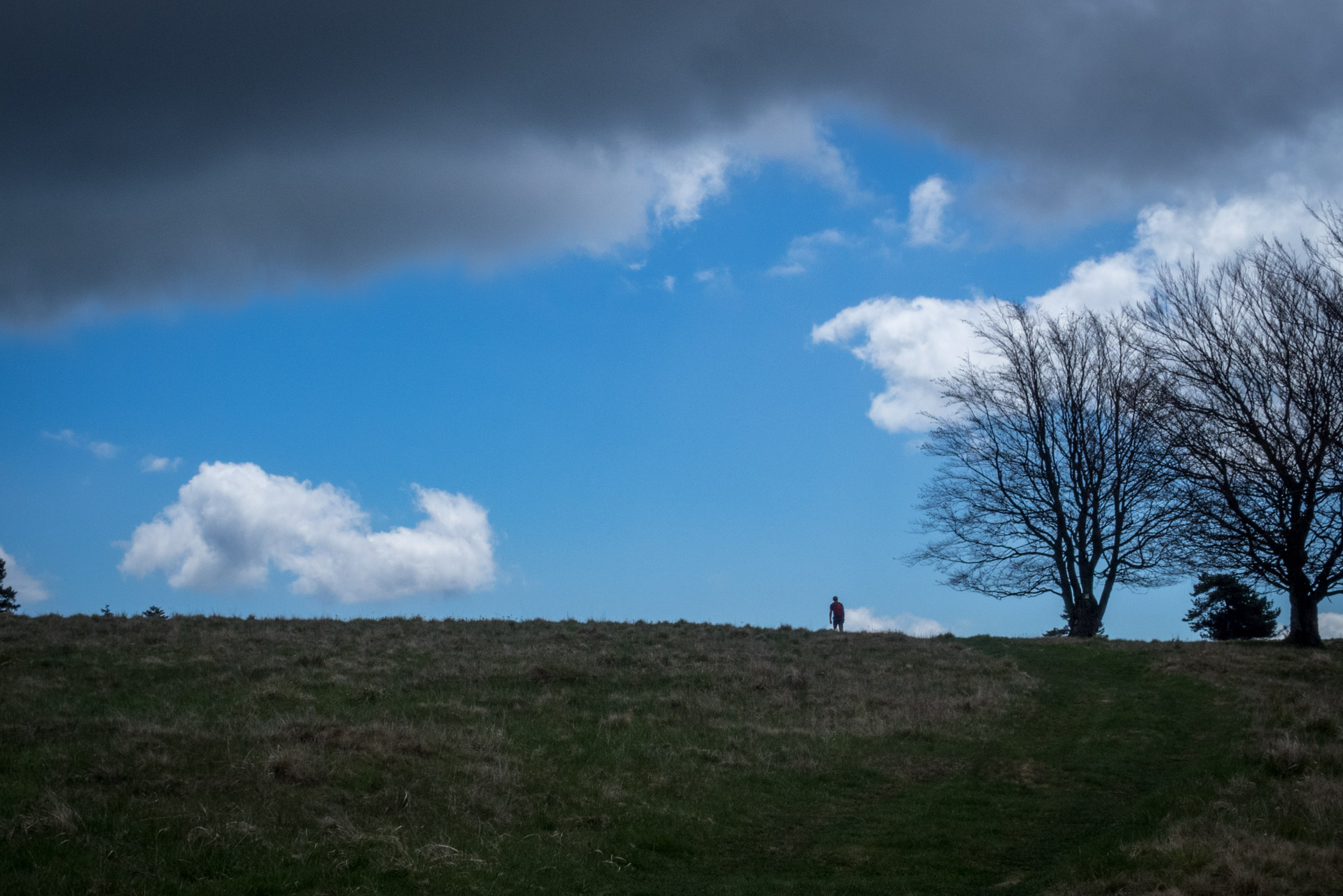 Holý vrch a Bukovec zo Švedlára (Volovské vrchy)