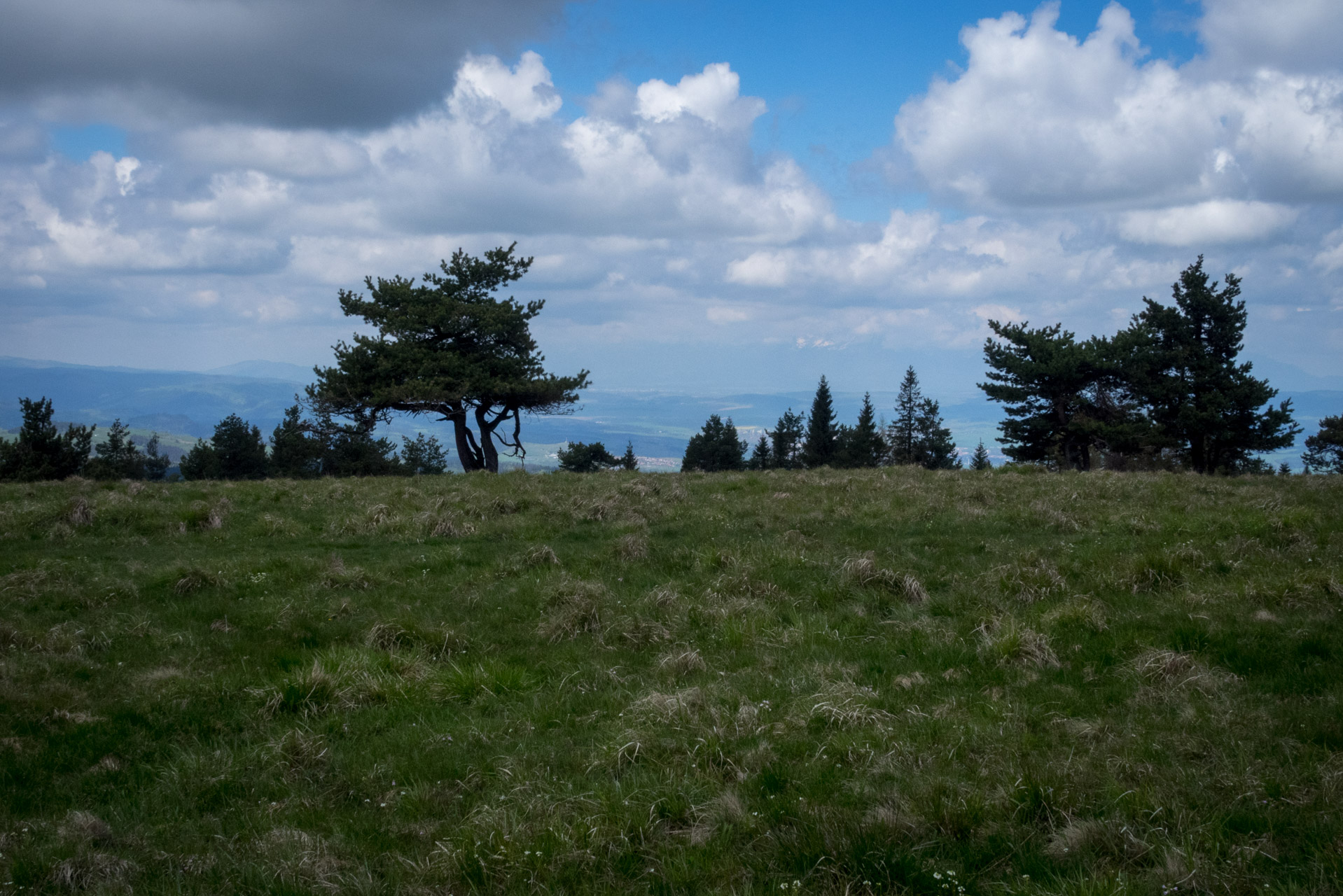 Holý vrch a Bukovec zo Švedlára (Volovské vrchy)