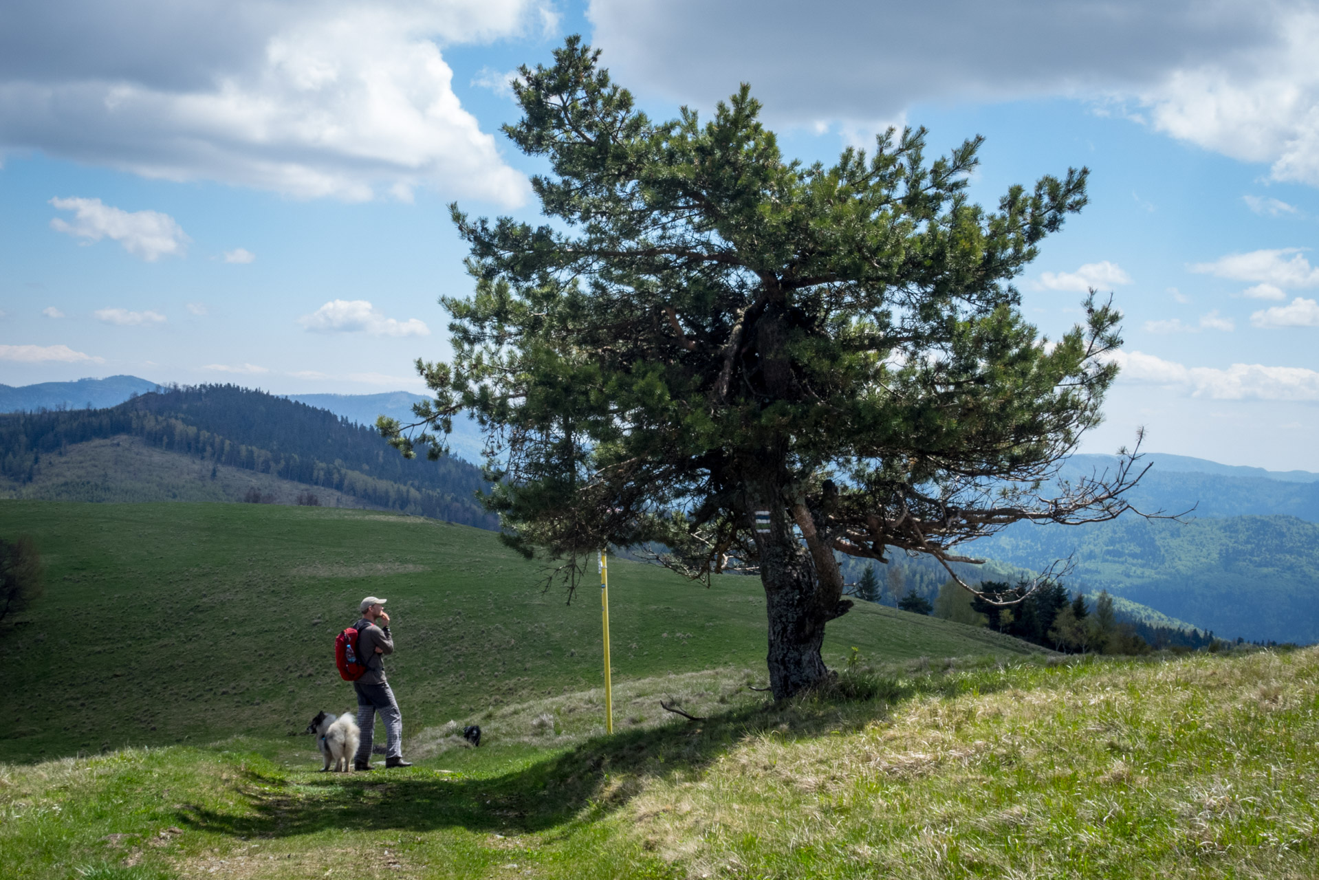 Holý vrch a Bukovec zo Švedlára (Volovské vrchy)