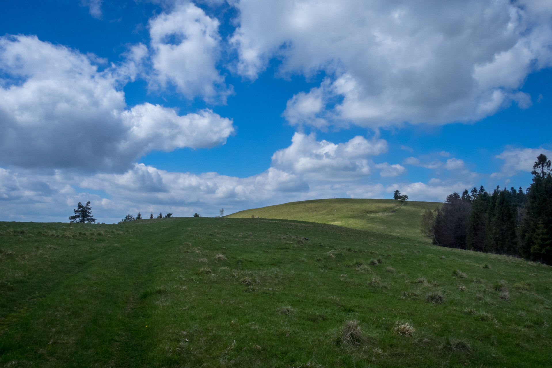 Holý vrch a Bukovec zo Švedlára (Volovské vrchy)