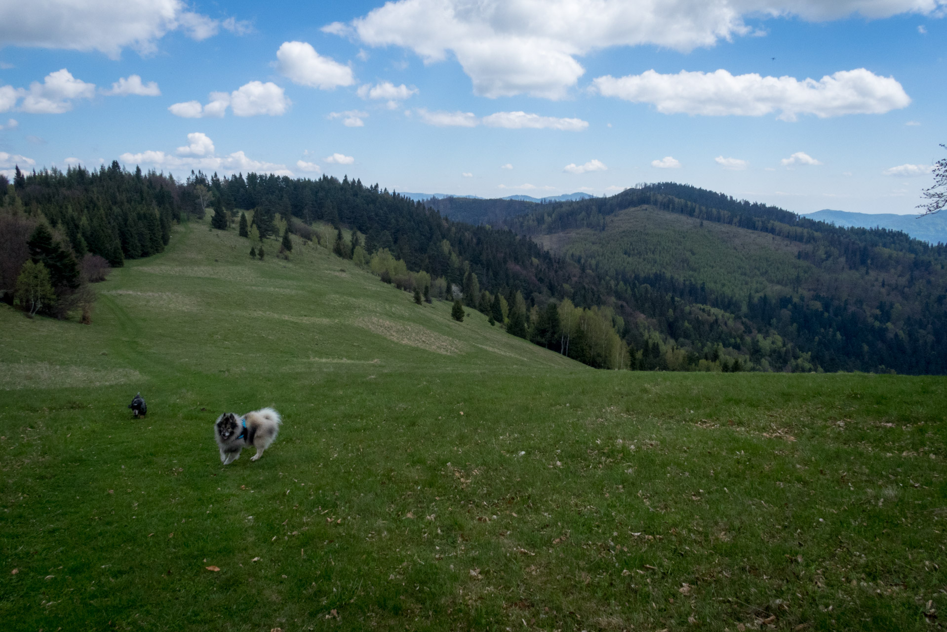 Holý vrch a Bukovec zo Švedlára (Volovské vrchy)