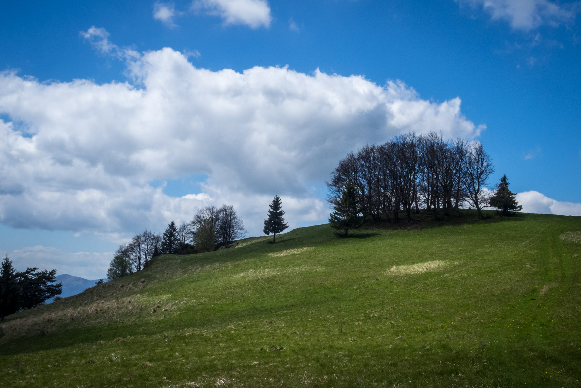 Holý vrch a Bukovec zo Švedlára (Volovské vrchy)