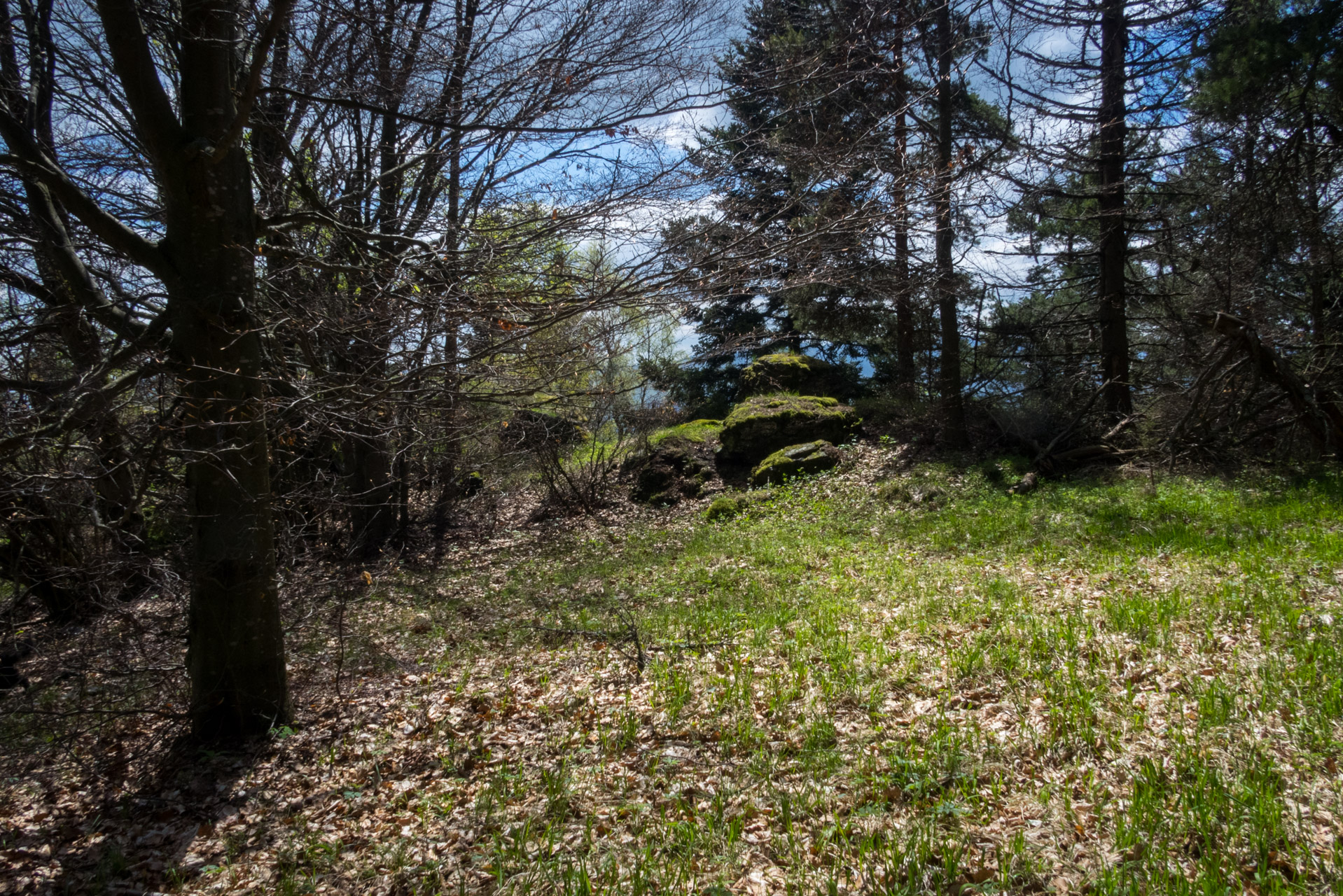 Holý vrch a Bukovec zo Švedlára (Volovské vrchy)